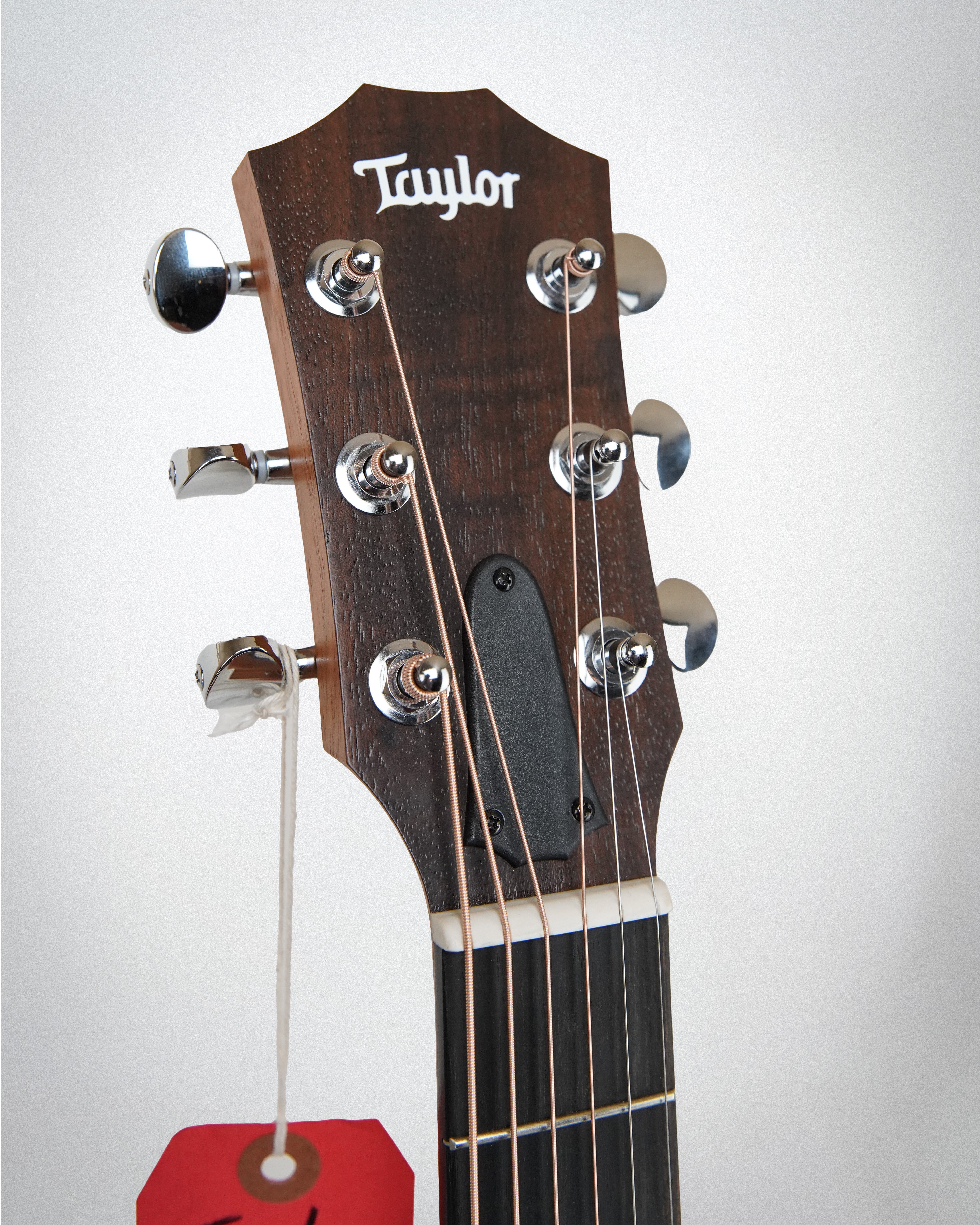 Taylor GS Mini Mahogany