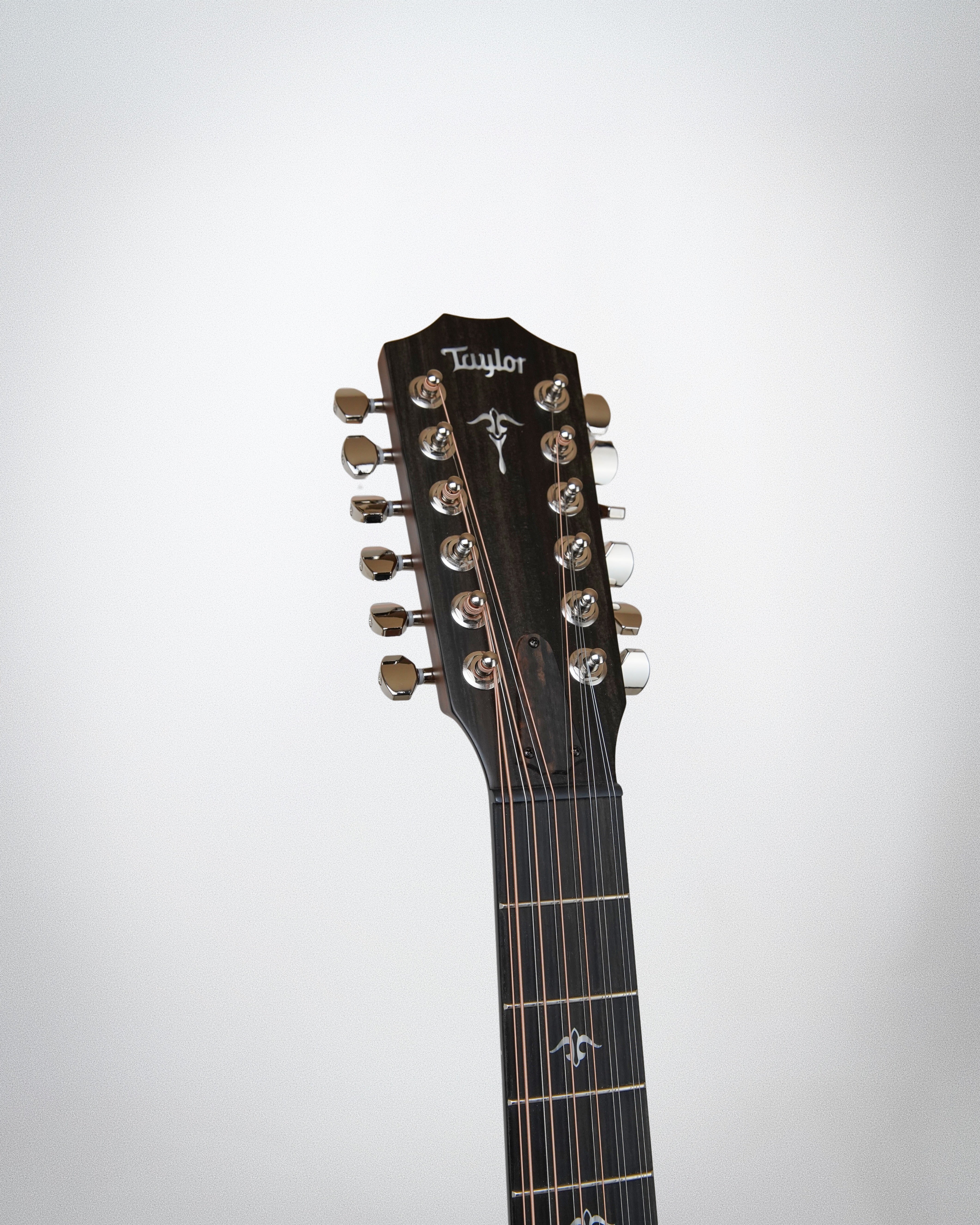 Taylor 552ce 12 String #1204263089