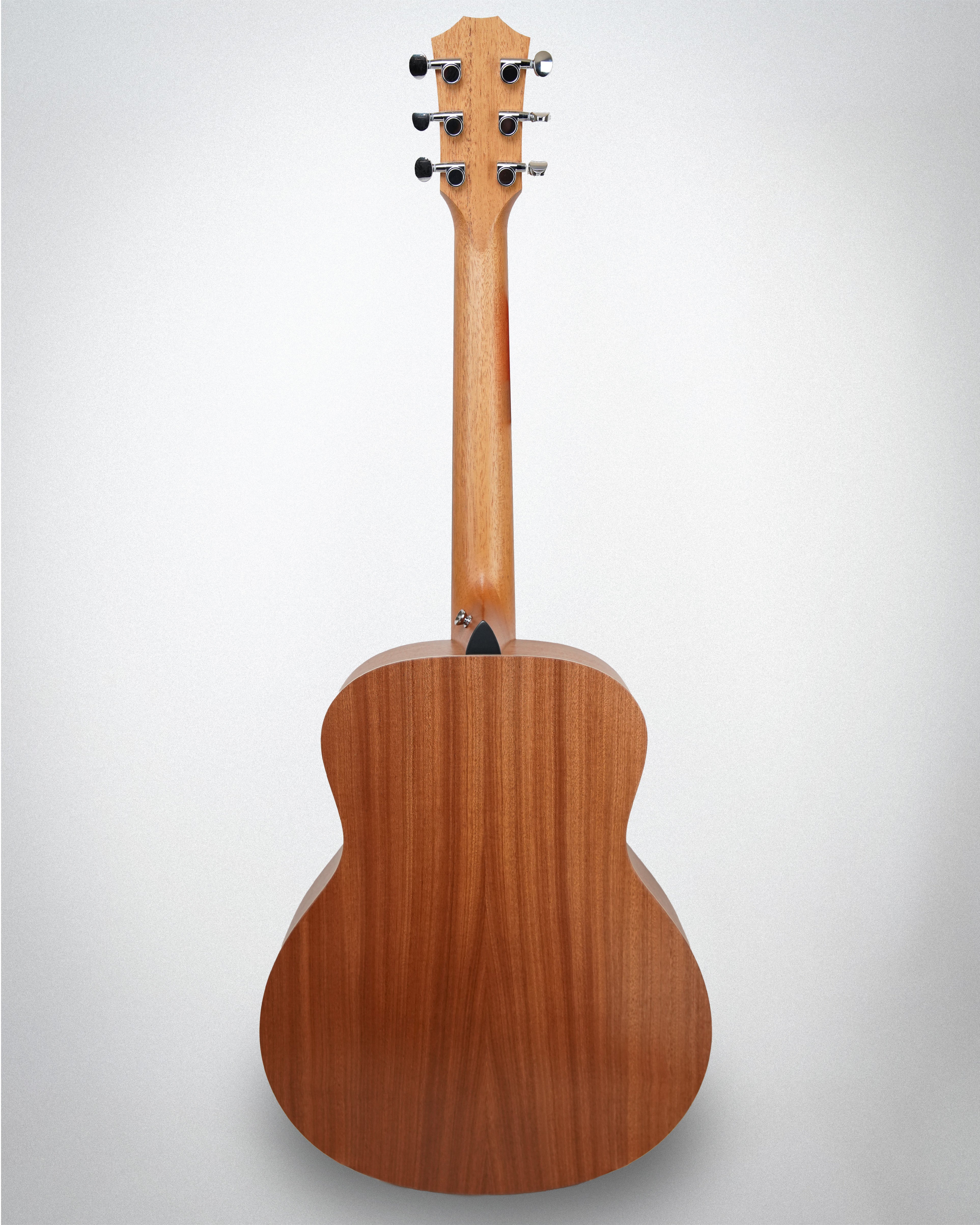 Taylor GS Mini Mahogany