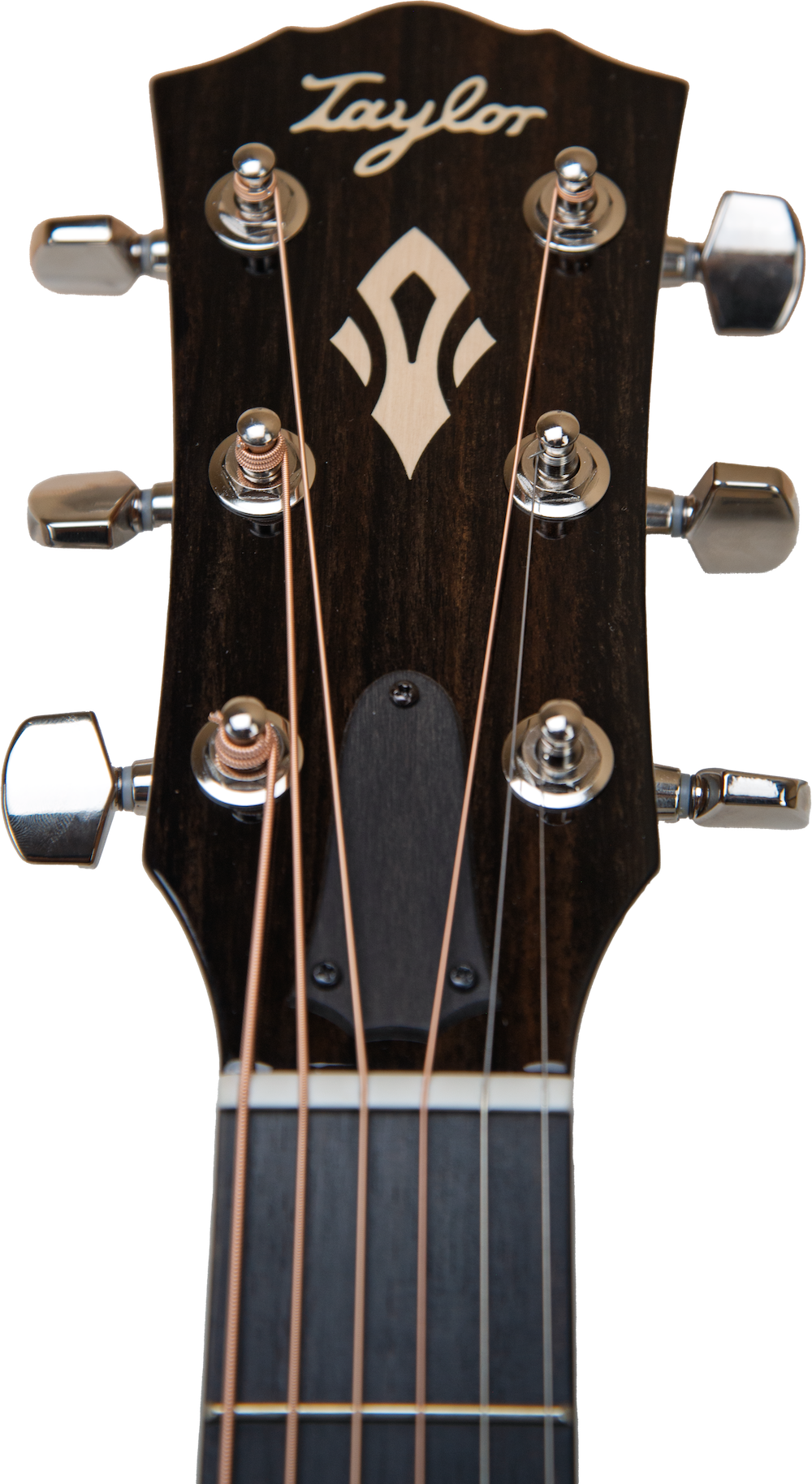 Taylor Gold Label 717e