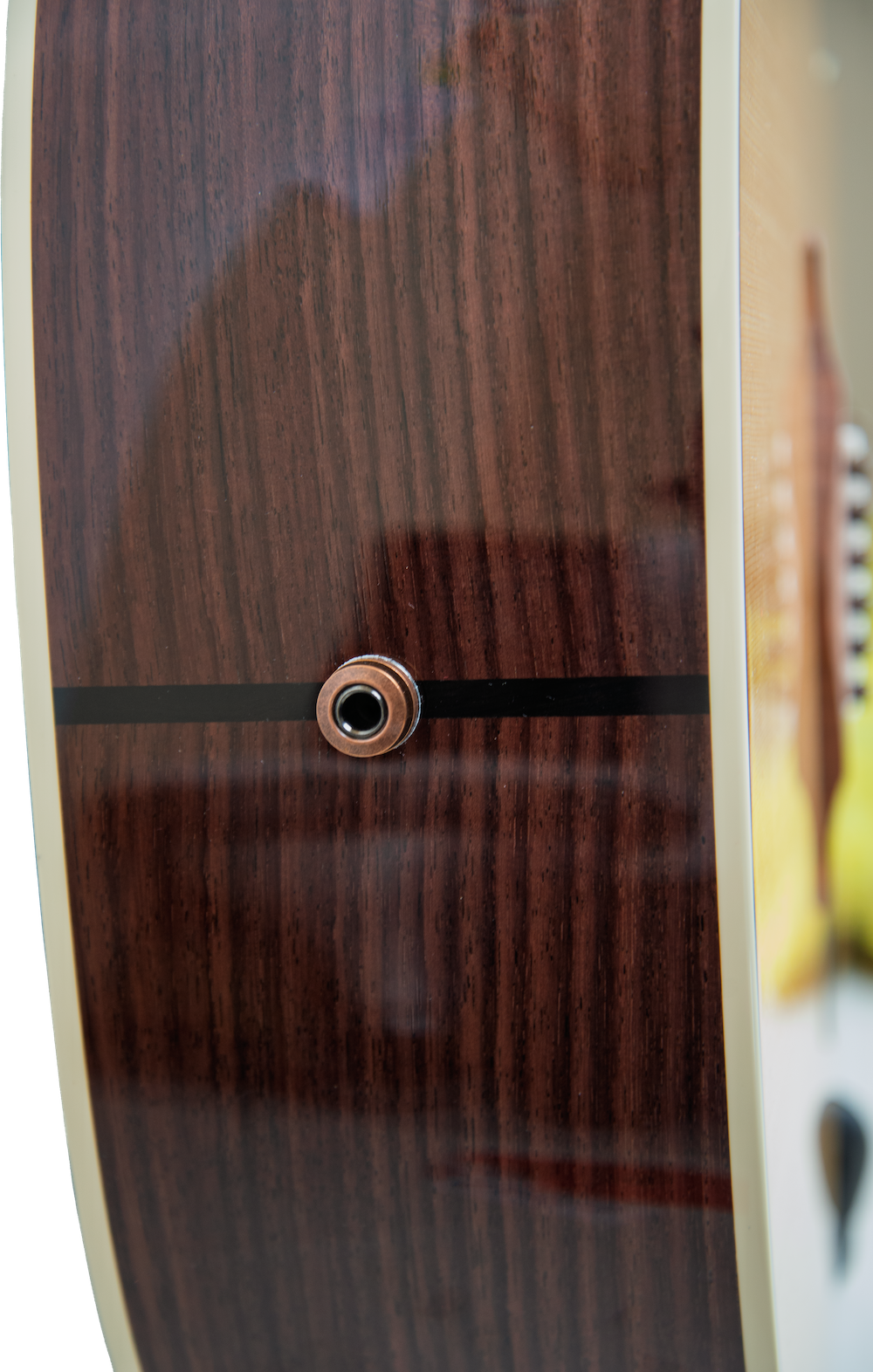 Taylor Gold Label 717e