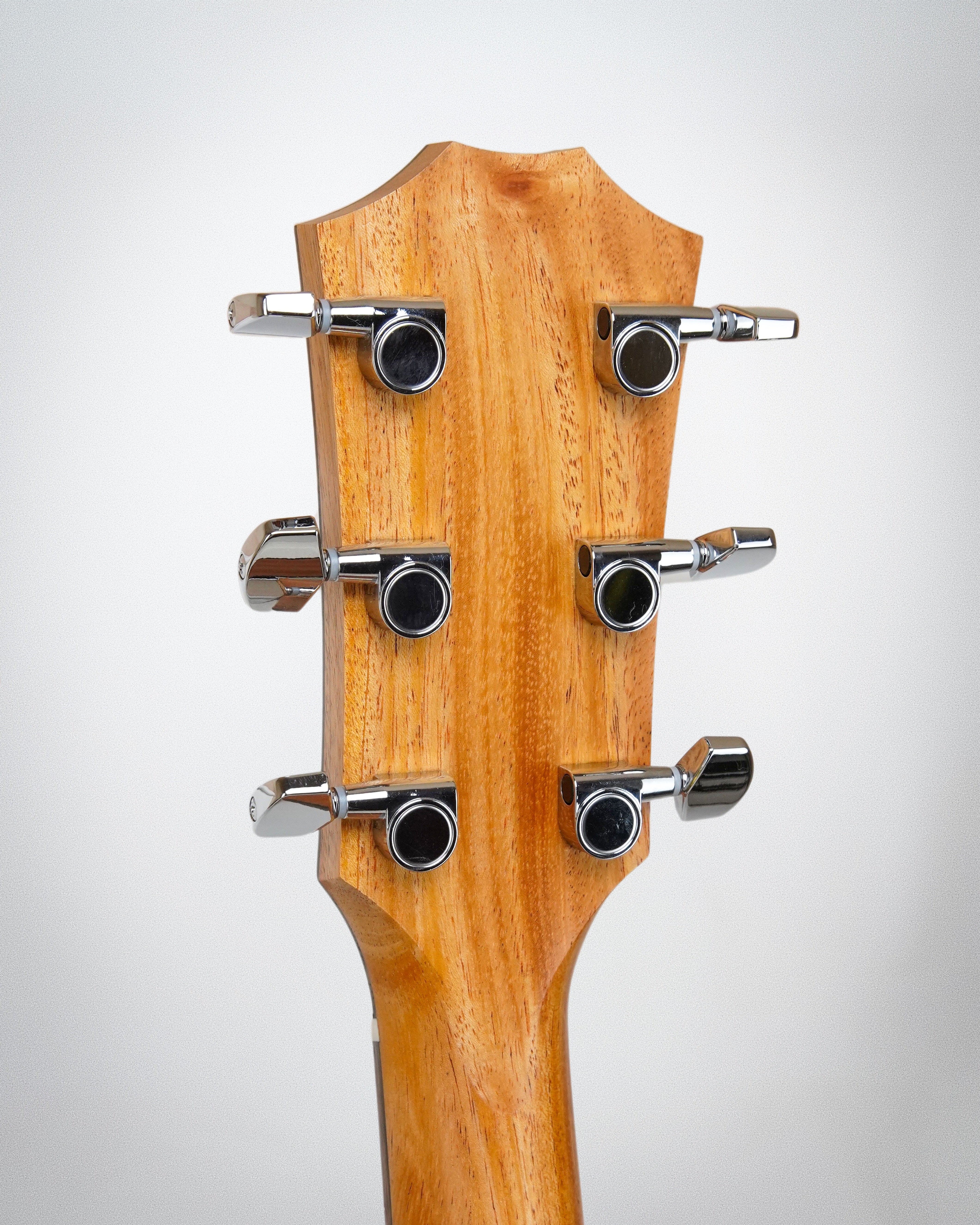 Taylor Gold Label 814e, Torrefied Spruce top, Honduran Rosewood back and sides (#1201095073)