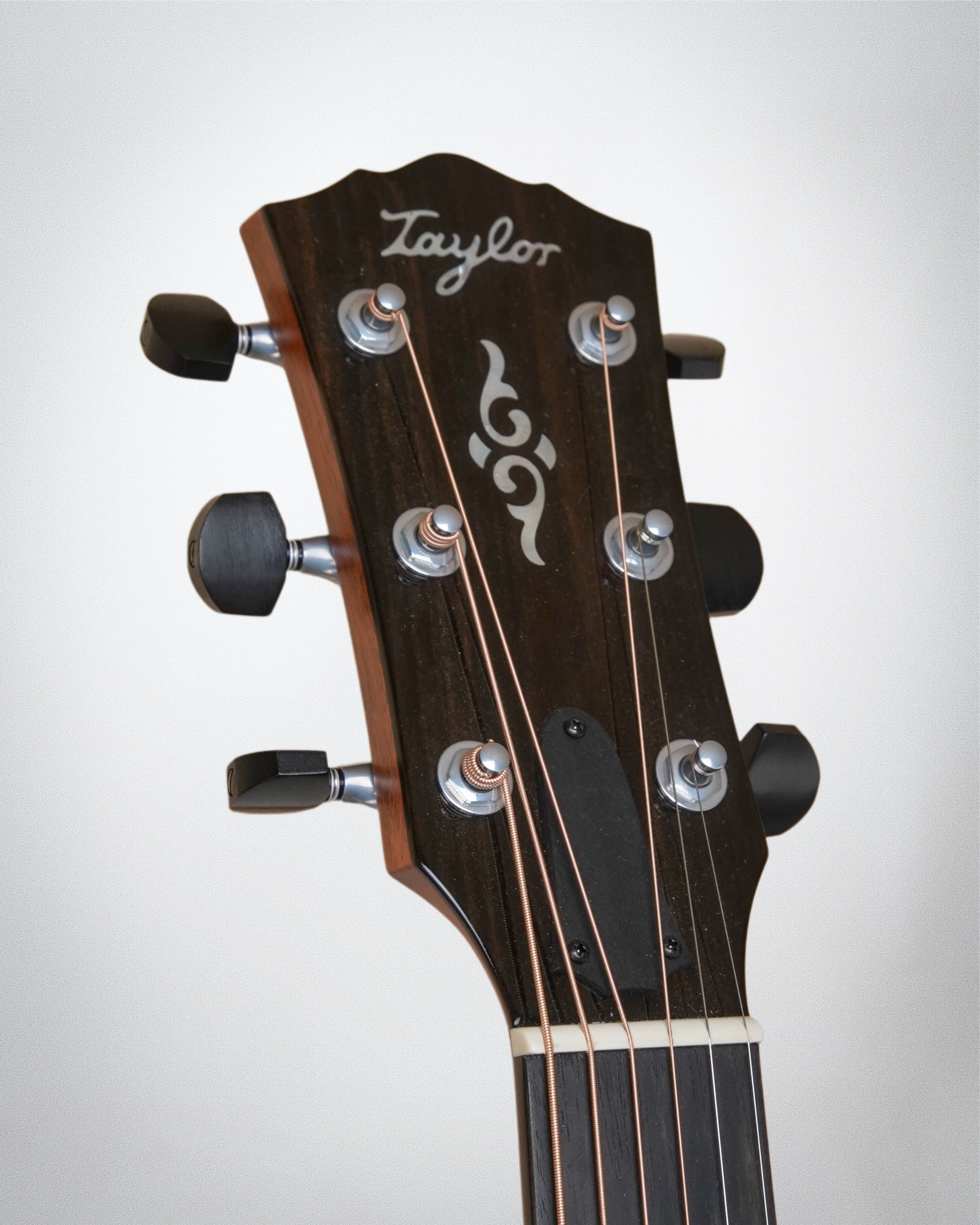 Taylor Gold Label 814e, Torrefied Spruce top, Honduran Rosewood back and sides (#1201095073)