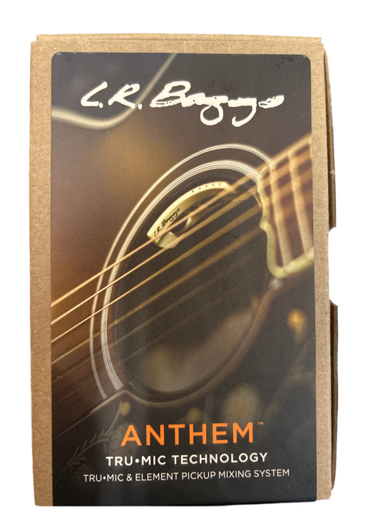 L.R. Baggs Anthem Pickup System