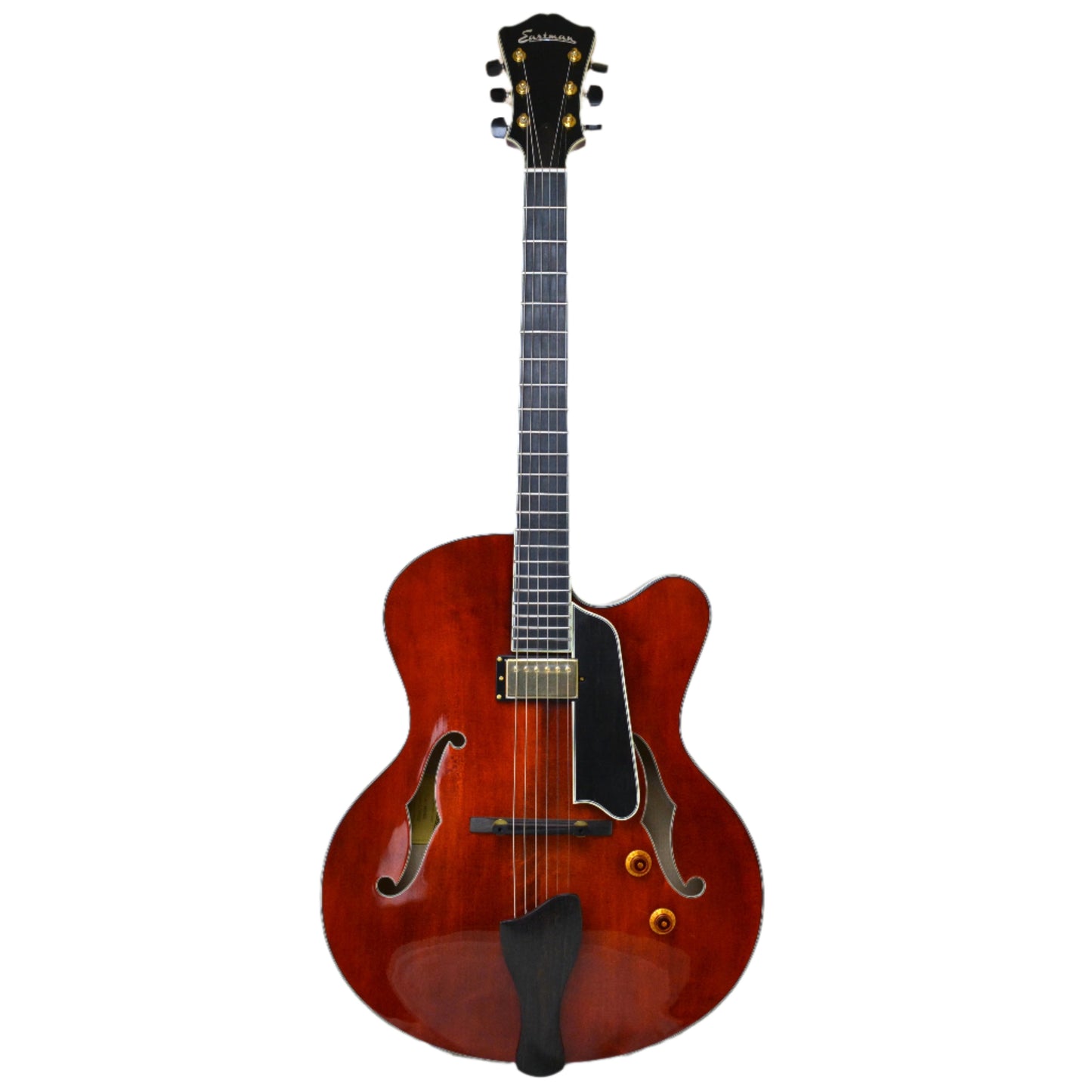 Eastman AR-810ce