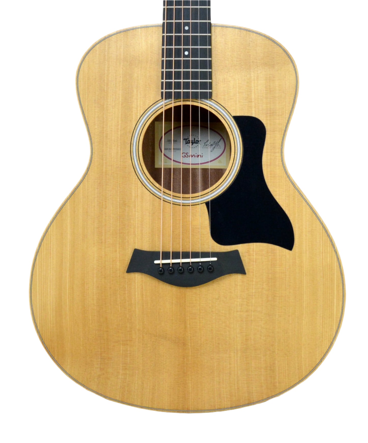 Taylor GS Mini