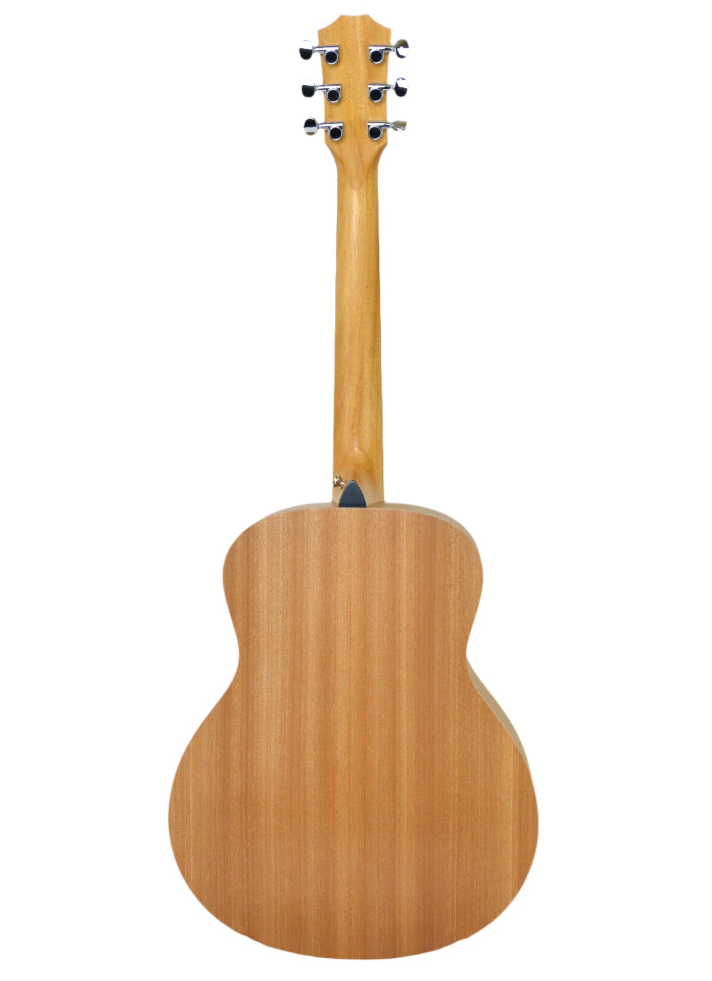 Taylor GS Mini