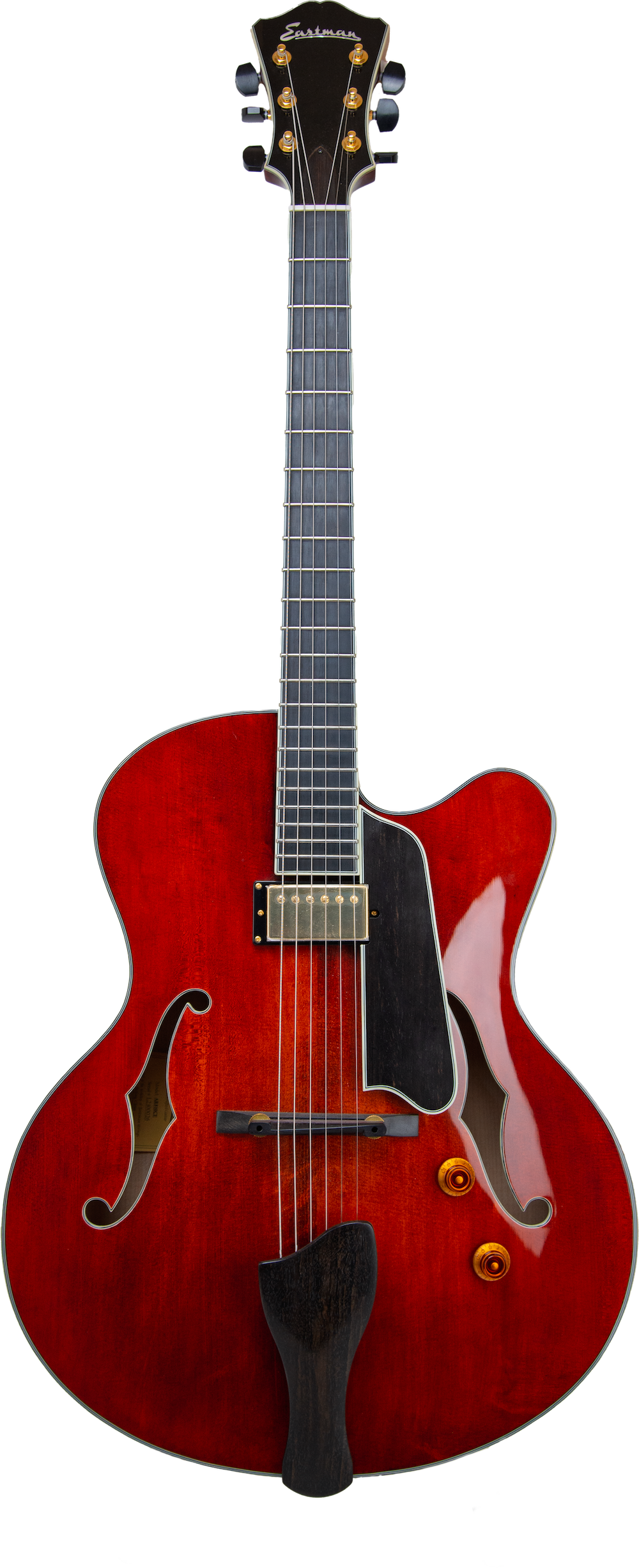 Eastman AR-810ce