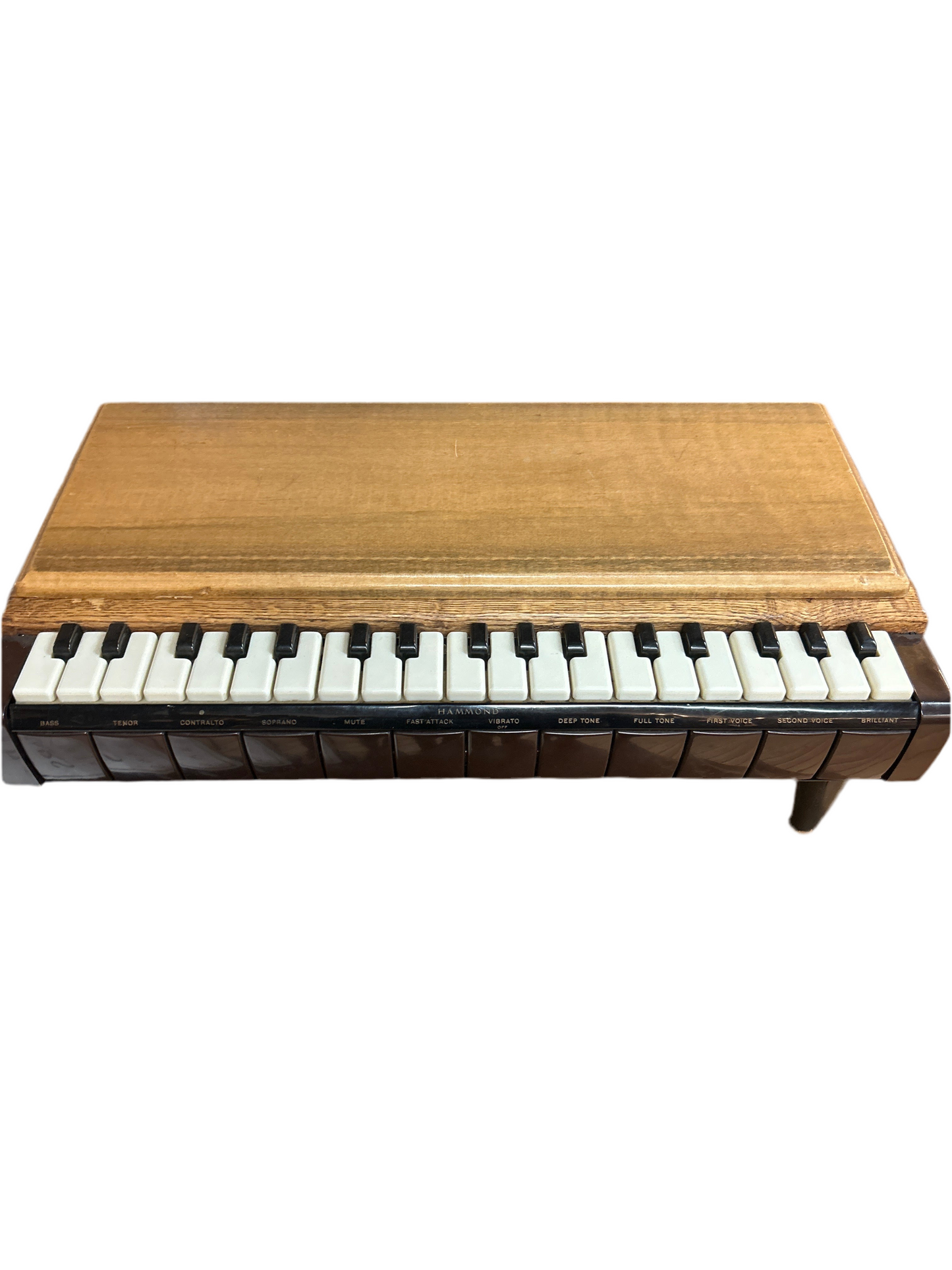 Hammond Soloette Keyboard and Speaker