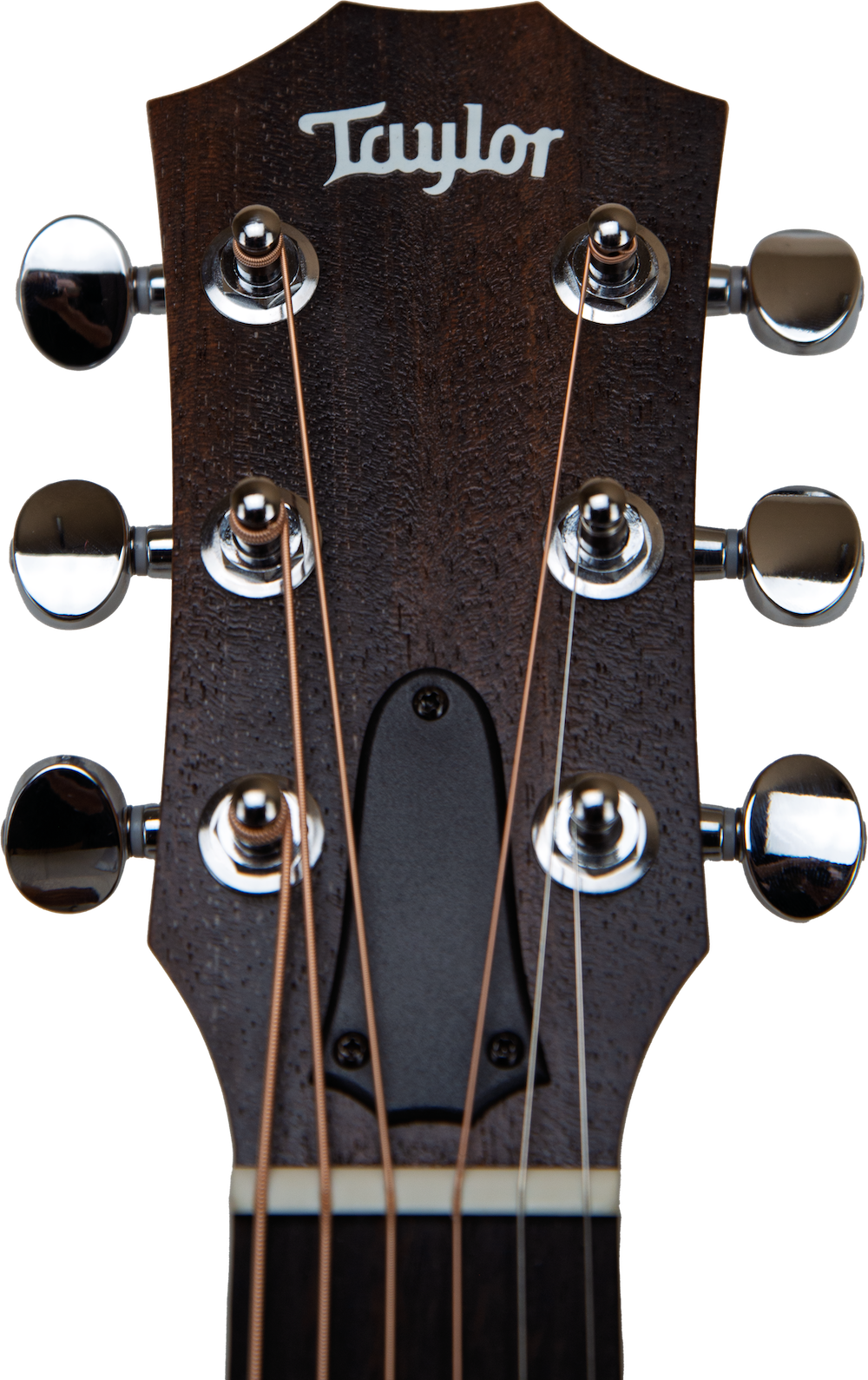 Taylor GS Mini-e Rosewood SB