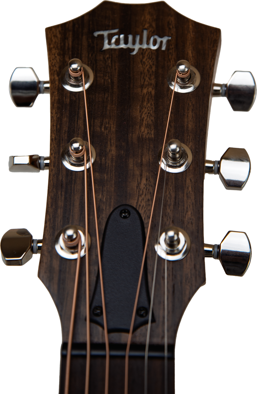 2021 Taylor GTe Urban Ash