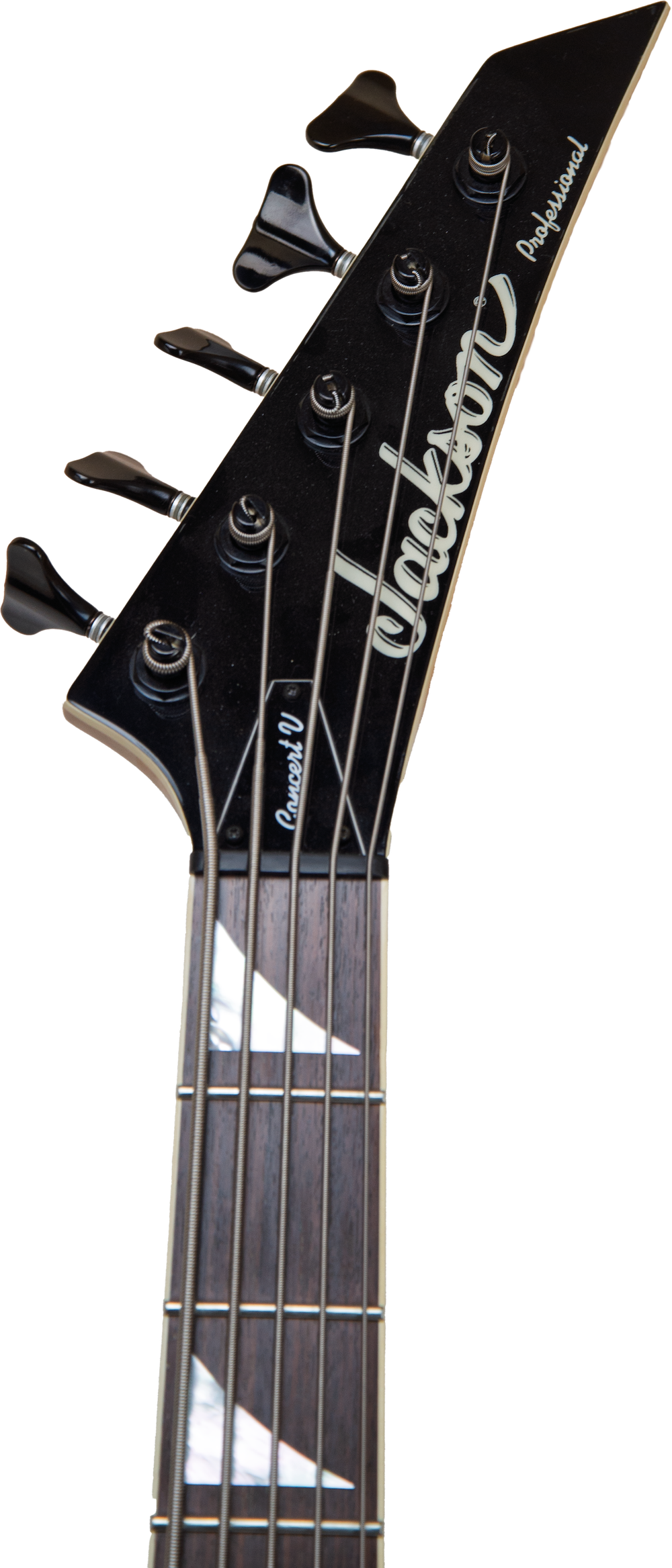 Jackson Concert V 5-String Bass