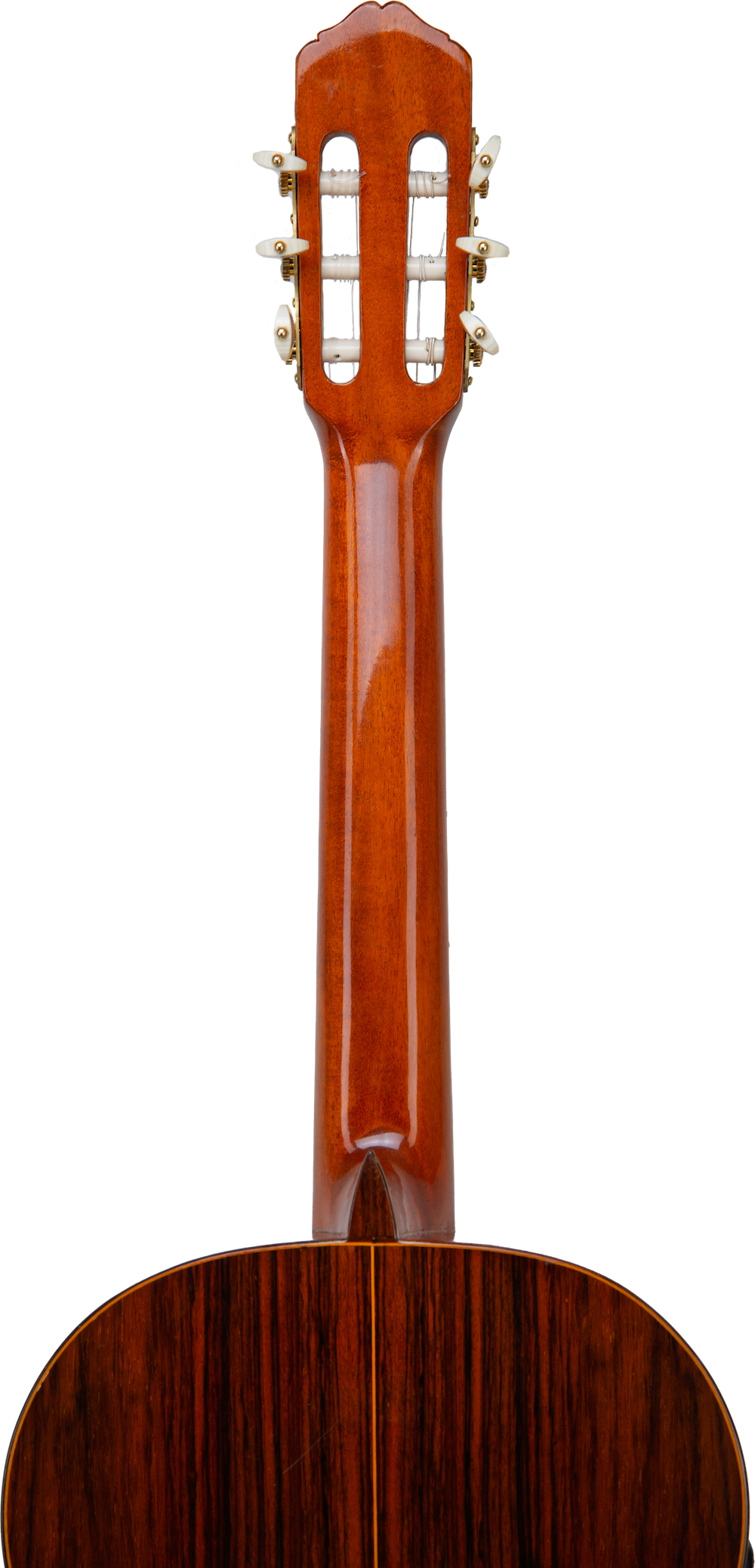 M.G. Contreras Student Guitar Classical Nylon String