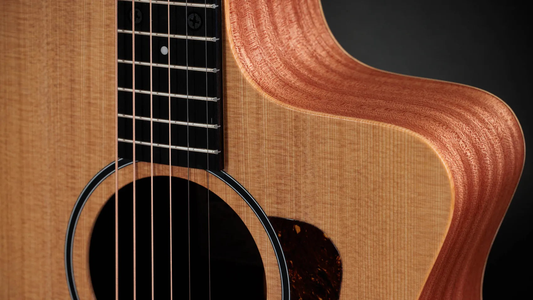 Taylor 14ce (#2206086517)