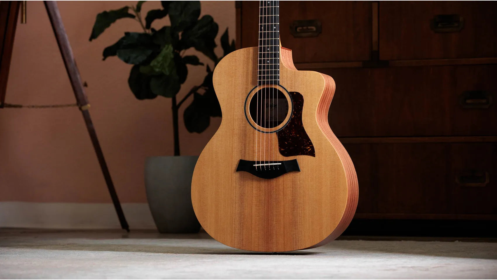 Taylor 14ce (#2206086517)