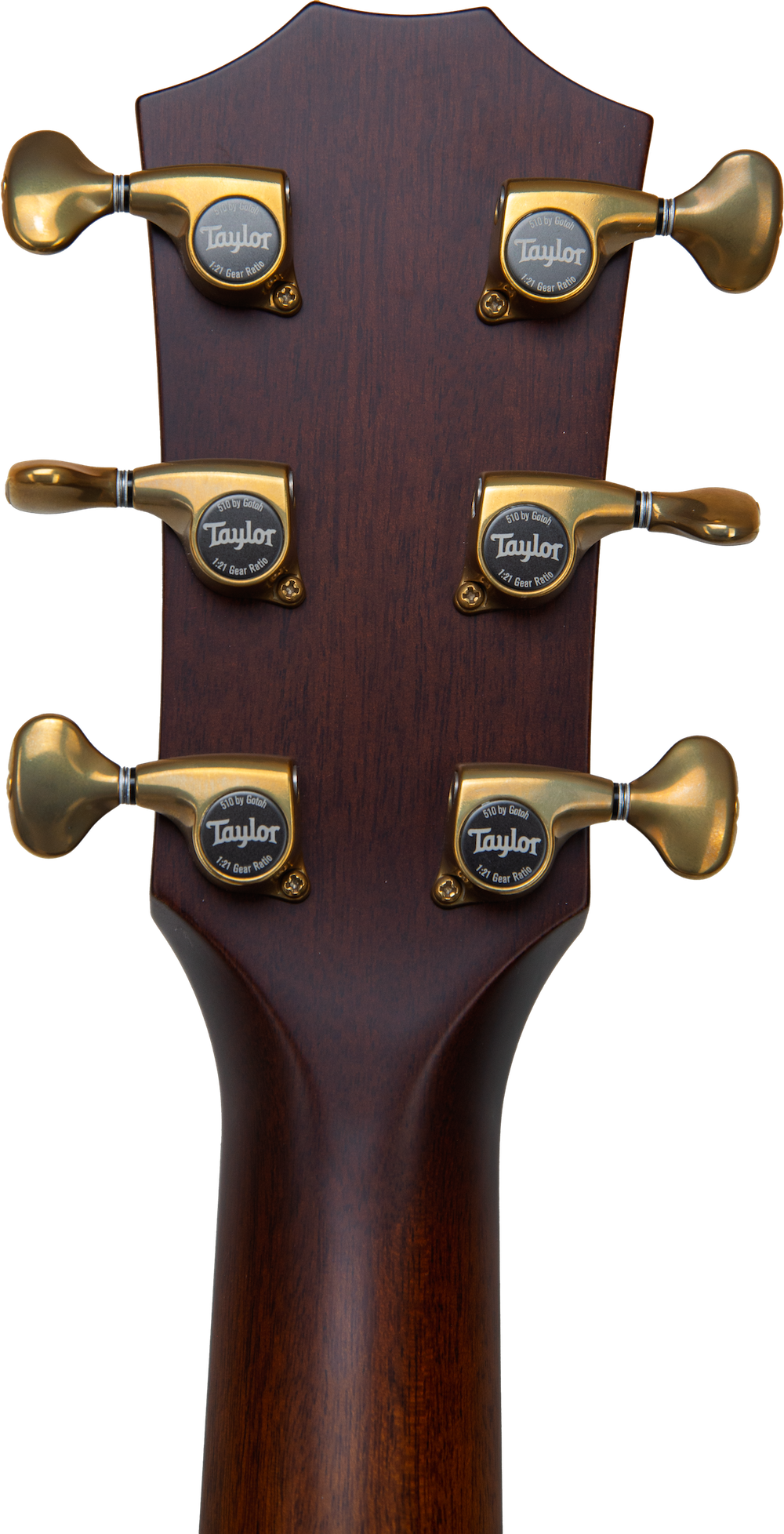Taylor K24ce