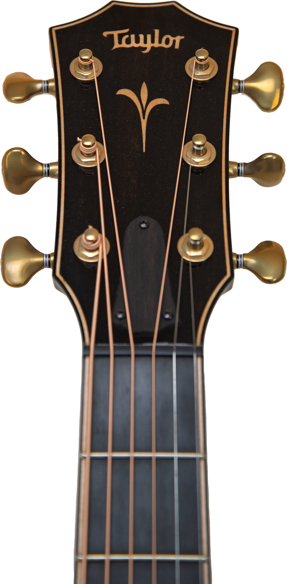 Taylor K24ce