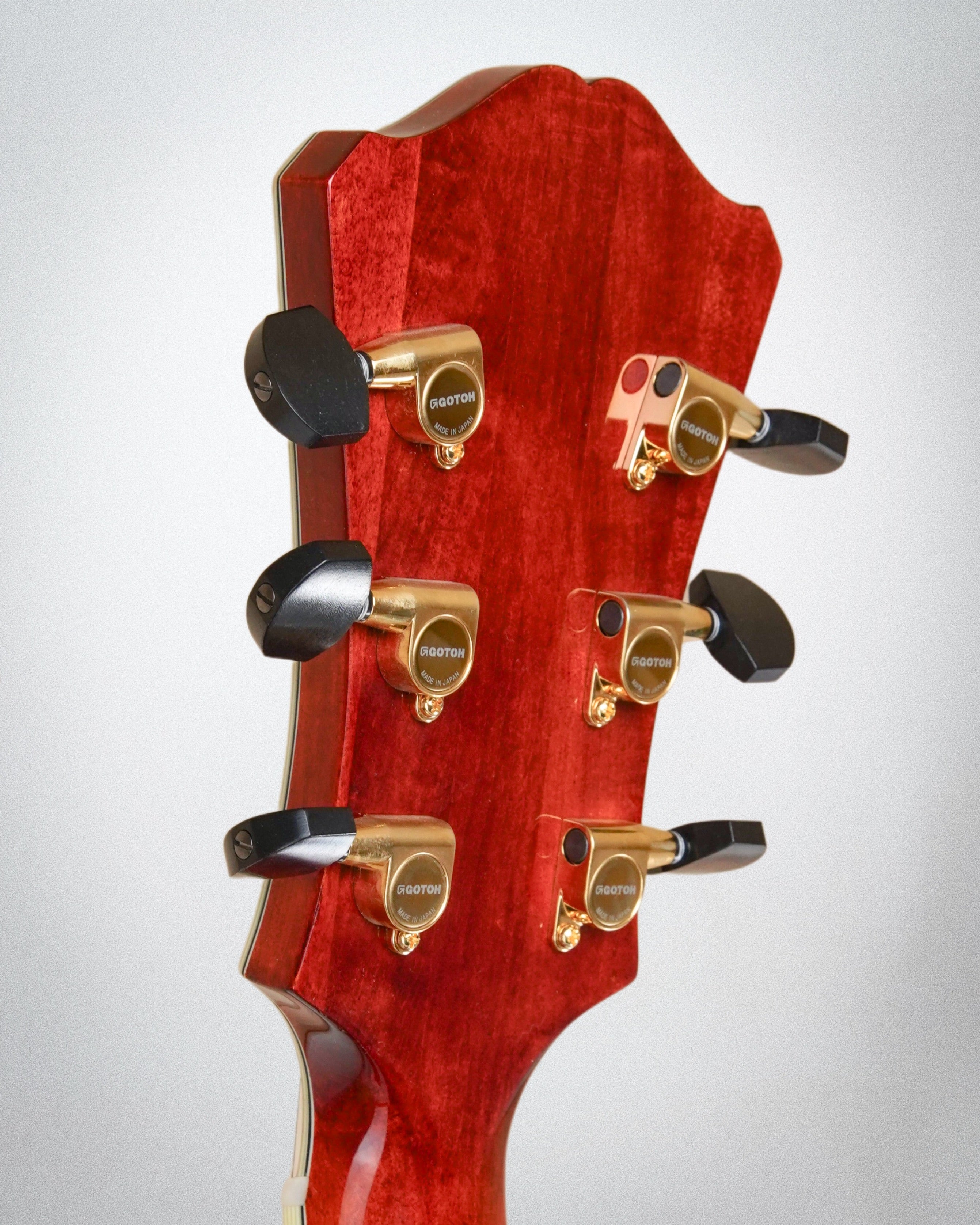 Eastman AR-810ce (#L2300026)