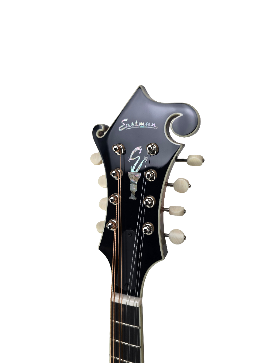 Eastman MD815-SB