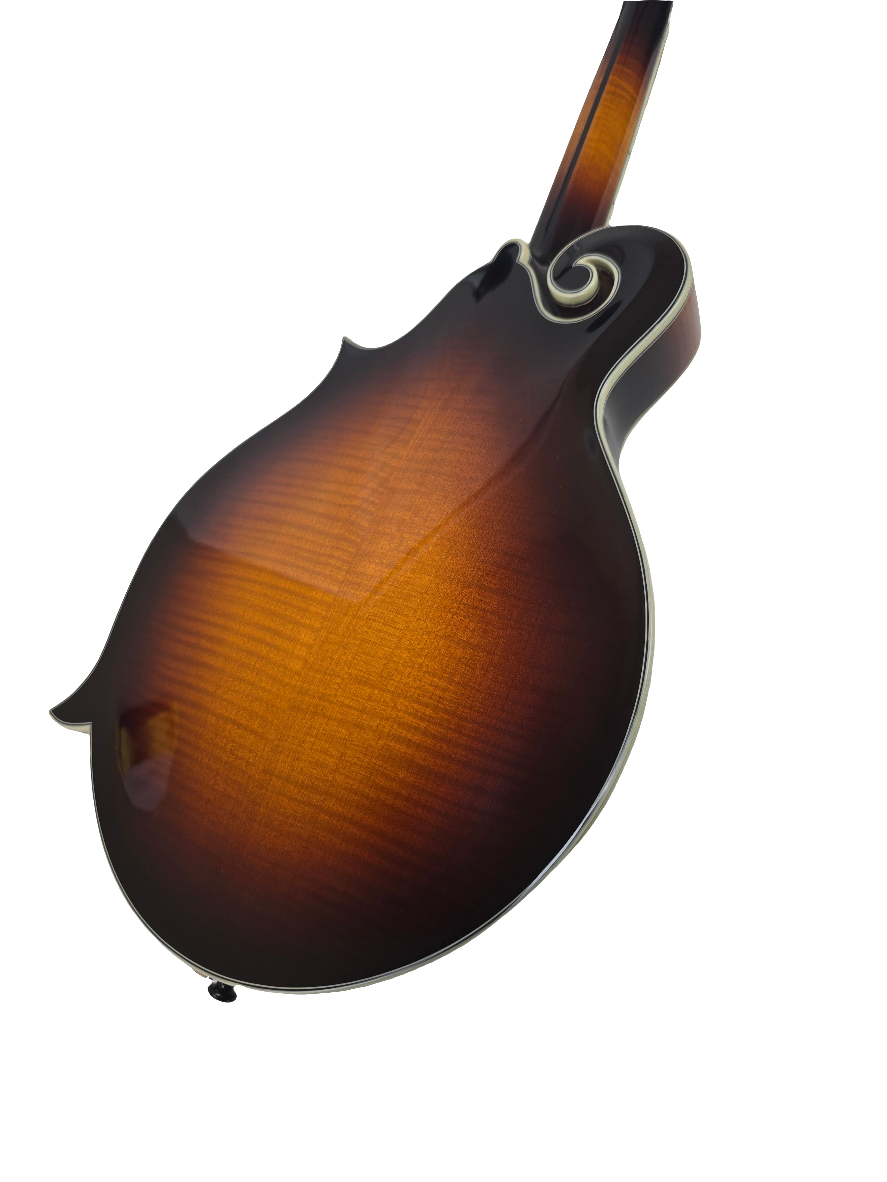 Eastman MD815-SB