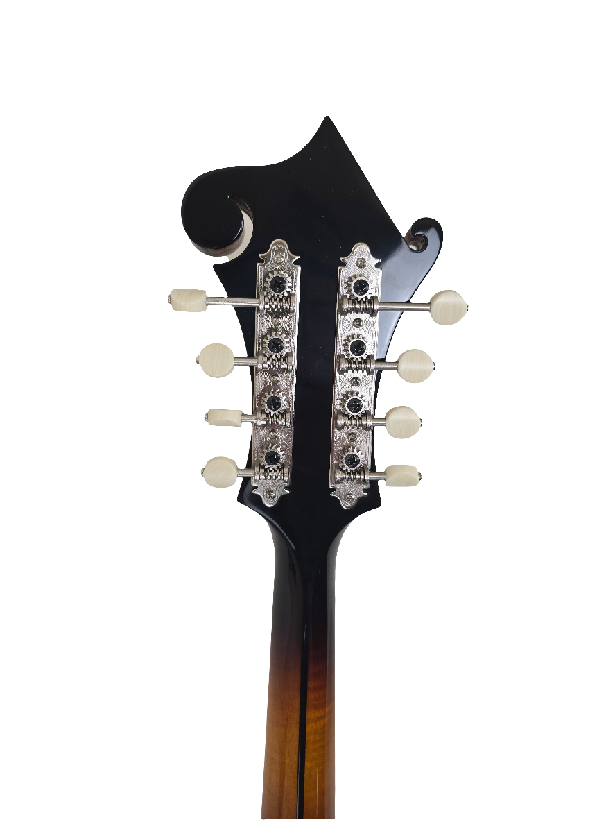 Eastman MD815-SB