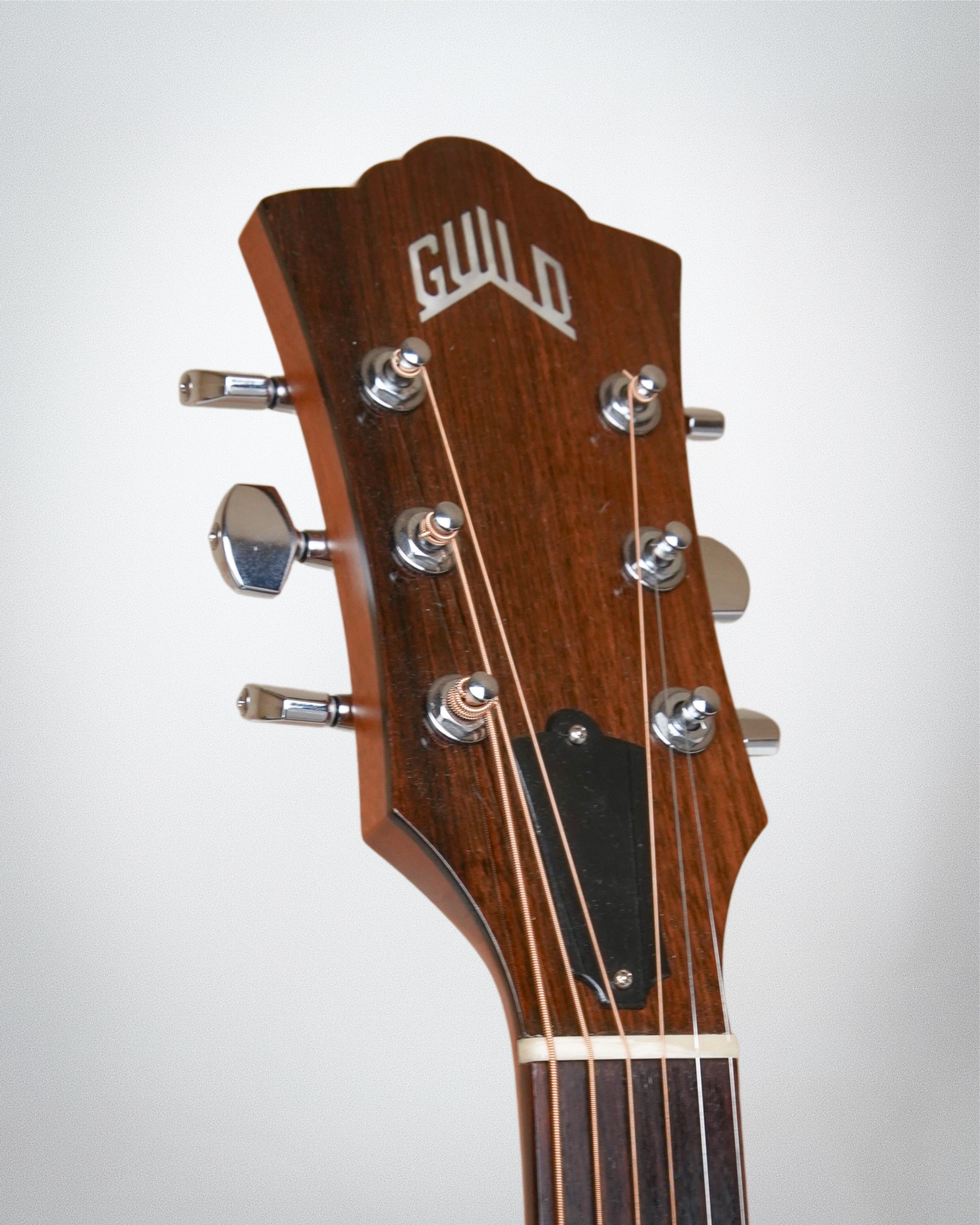2010 Guild F-50 Standard, Jumbo body style, Sitka Spruce top, Maple sides (#309004)