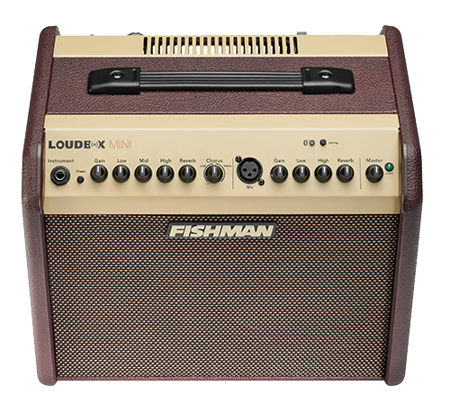Fishman Loudbox Mini