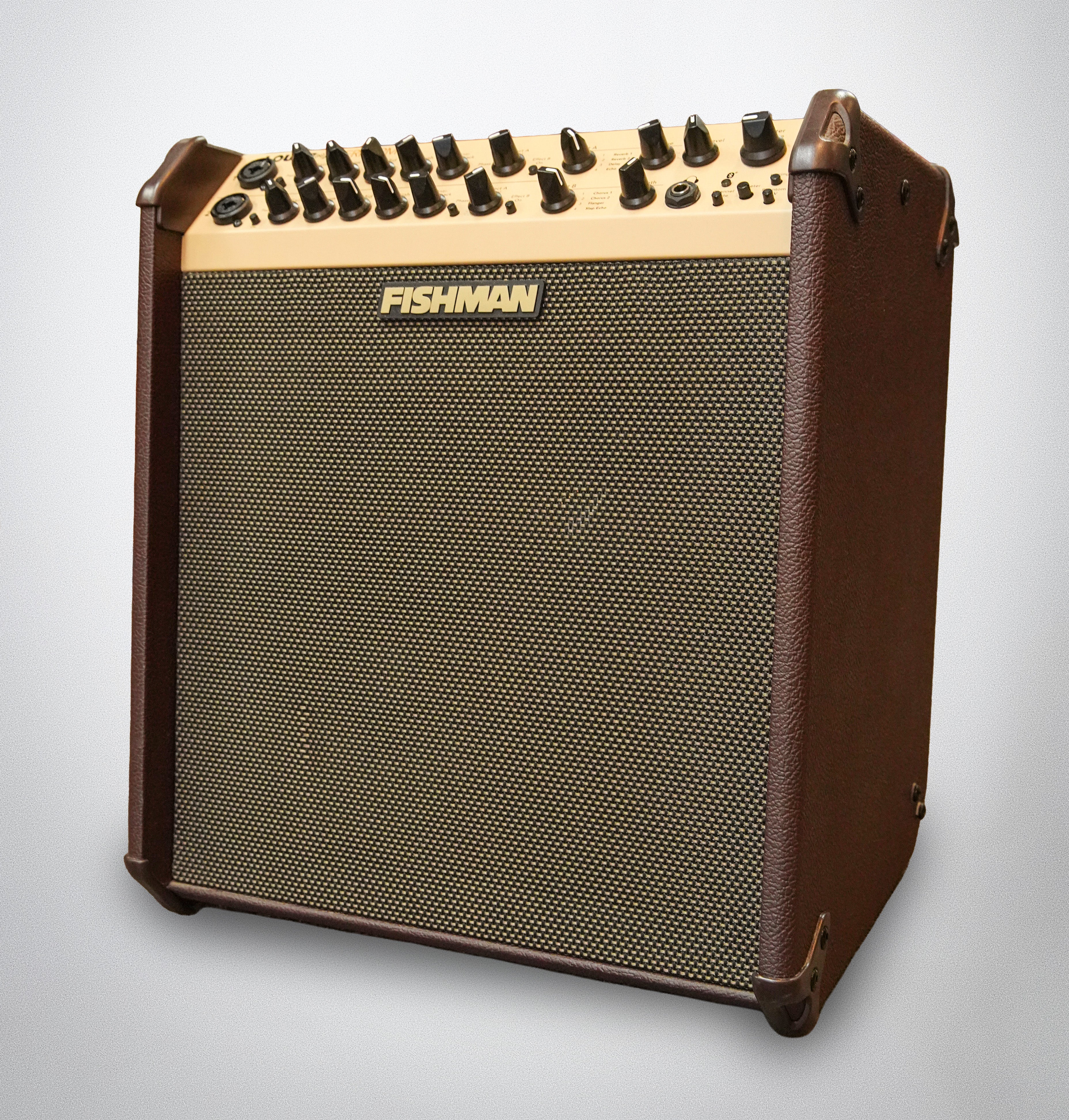 Fishman Loudbox Performer (#LBT700A107348)
