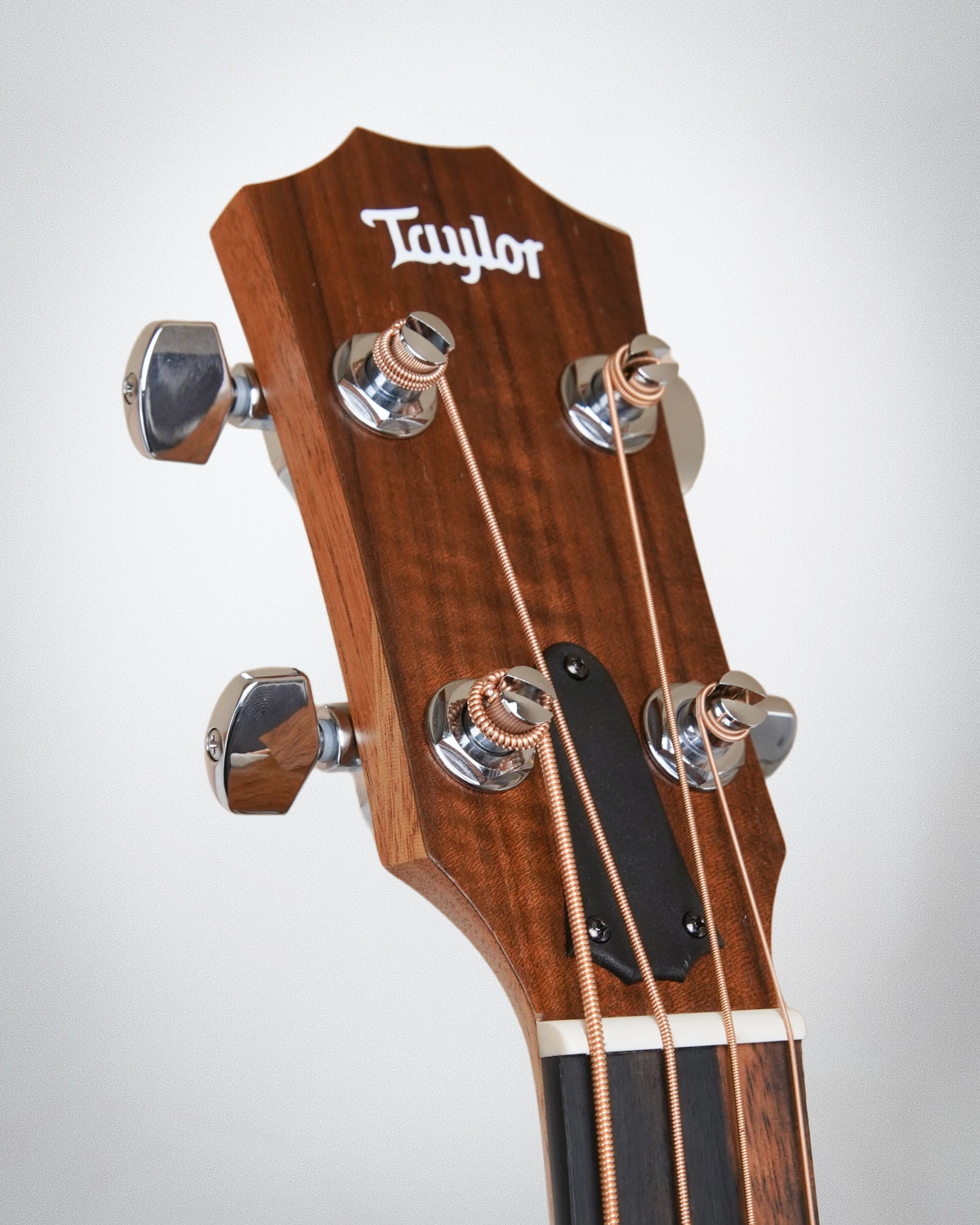 Taylor GS Mini-e Bass (#2209016429)