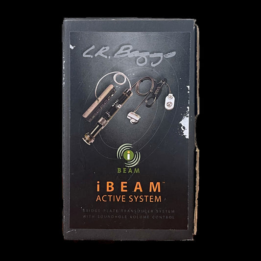 L.R. Baggs iBeam Active System