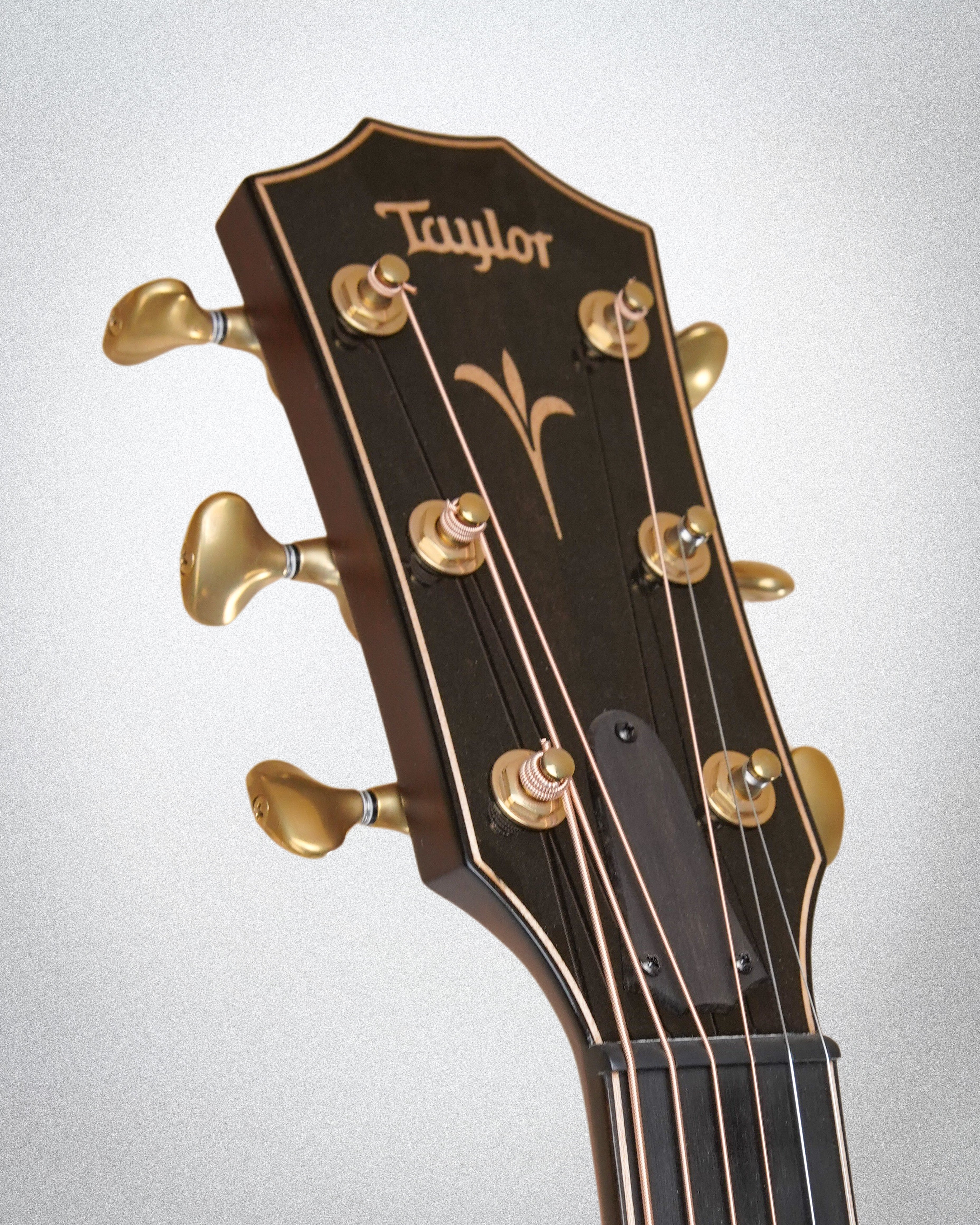 Taylor K24ce (#1211042164)