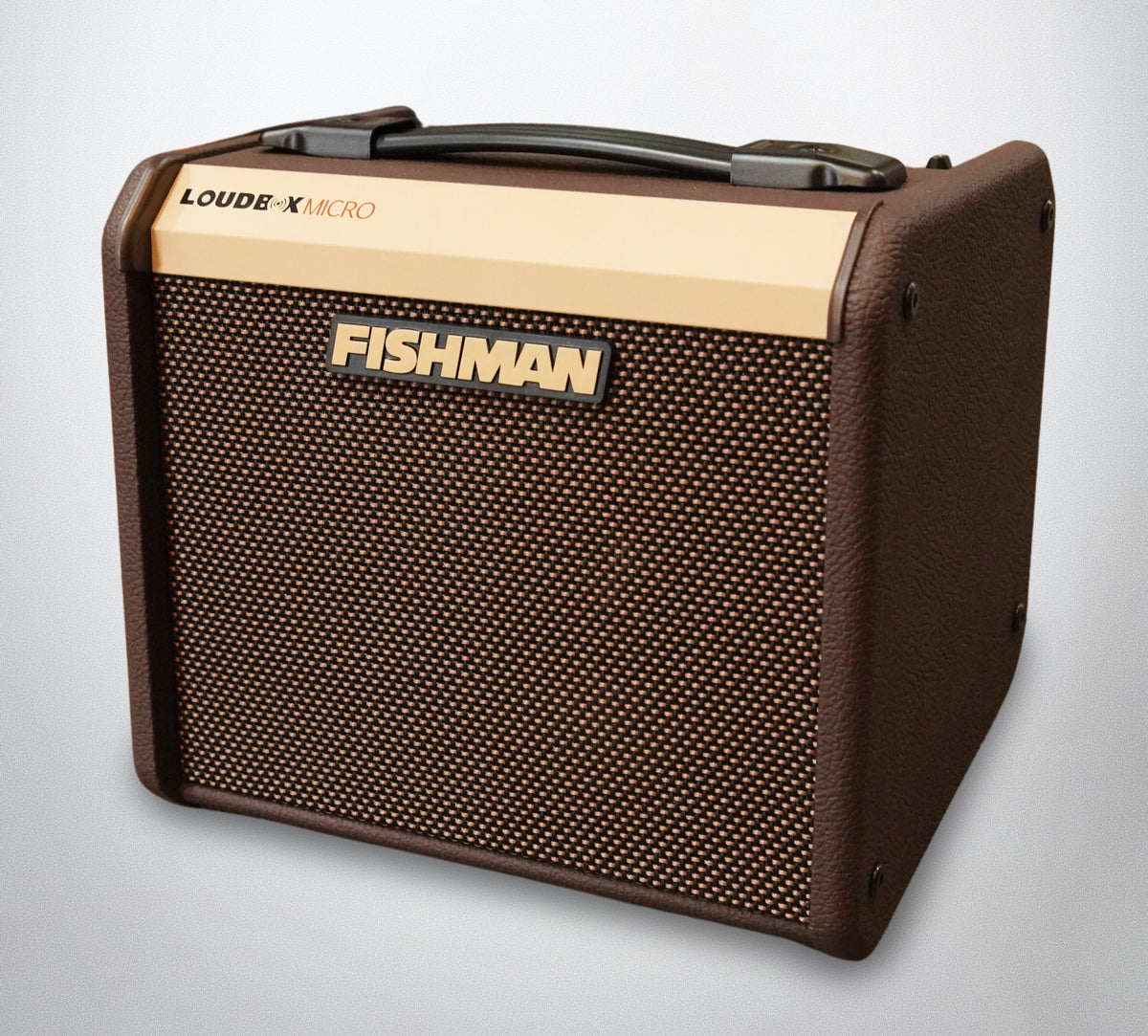 Fishman Loudbox Micro