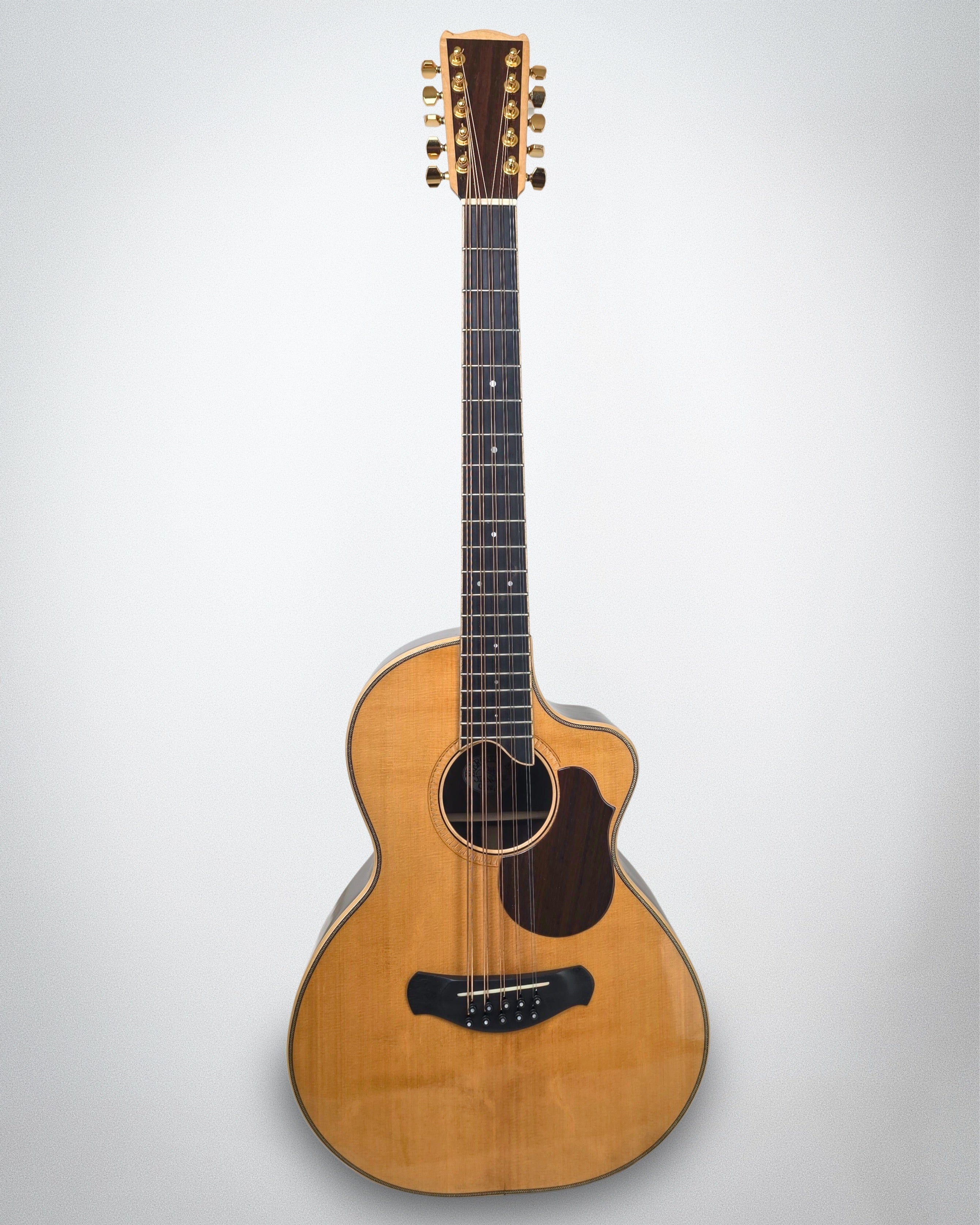 2009 Evergreen Mountain 10-String Mandocello (#2009 187-31)