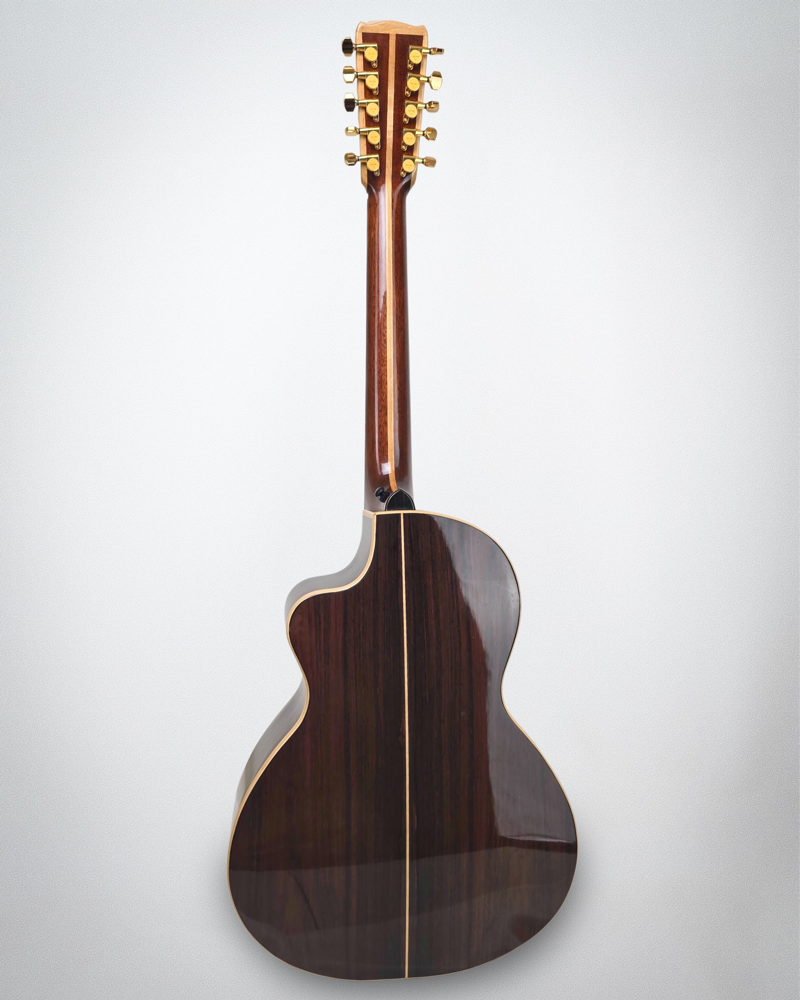 2009 Evergreen Mountain 10-String Mandocello (#2009 187-31)