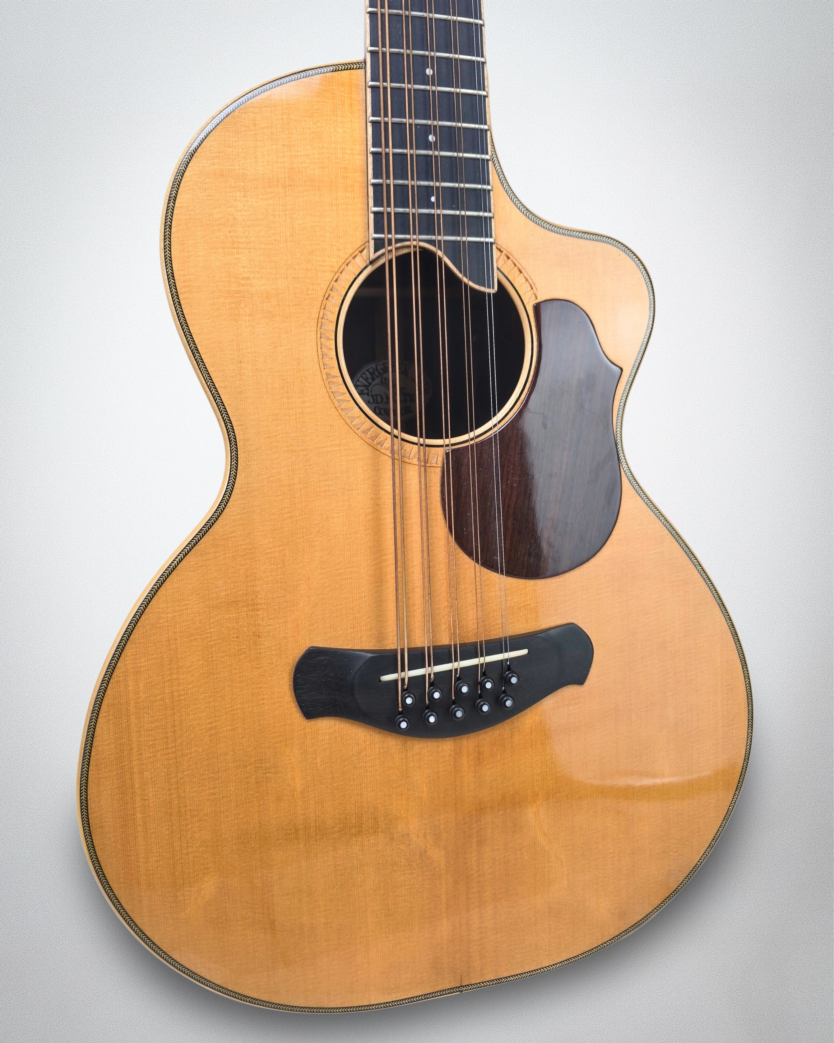 2009 Evergreen Mountain 10-String Mandocello (#2009 187-31)