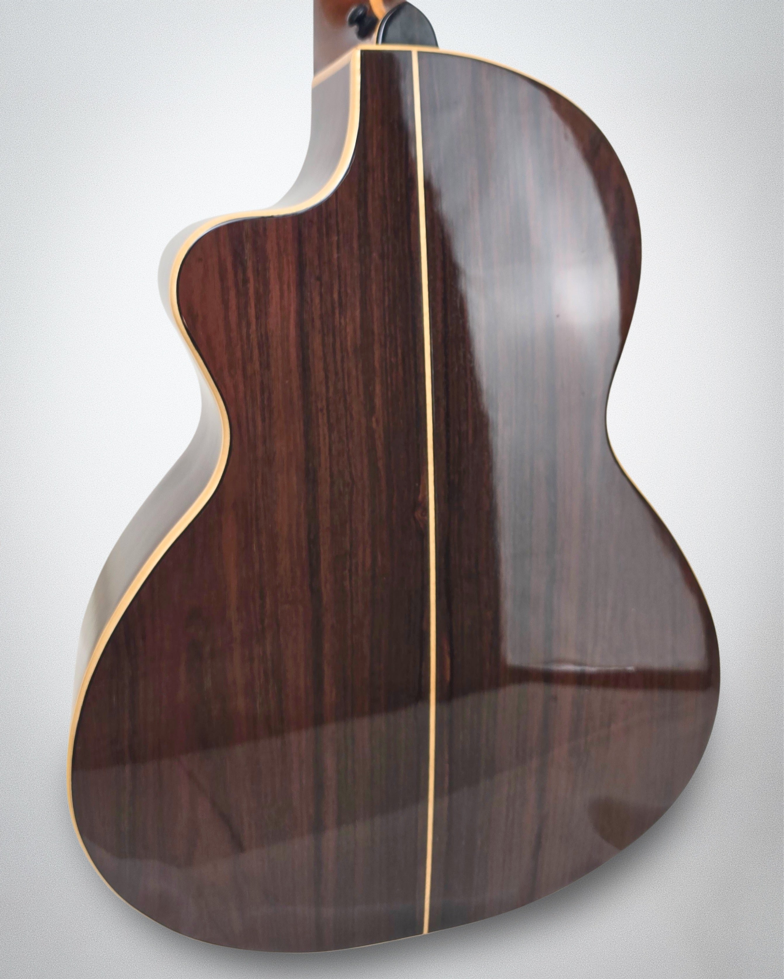 2009 Evergreen Mountain 10-String Mandocello (#2009 187-31)