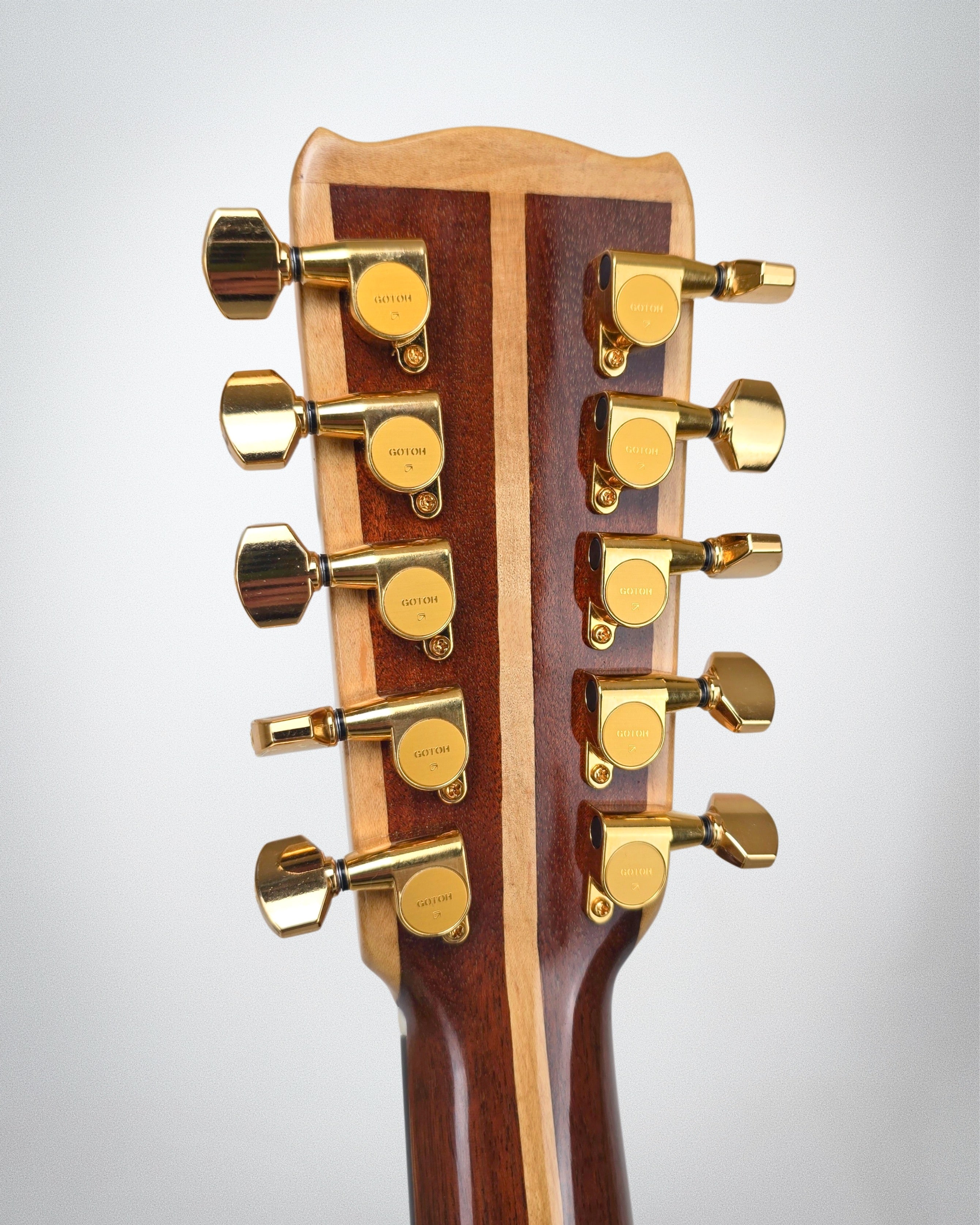 2009 Evergreen Mountain 10-String Mandocello (#2009 187-31)