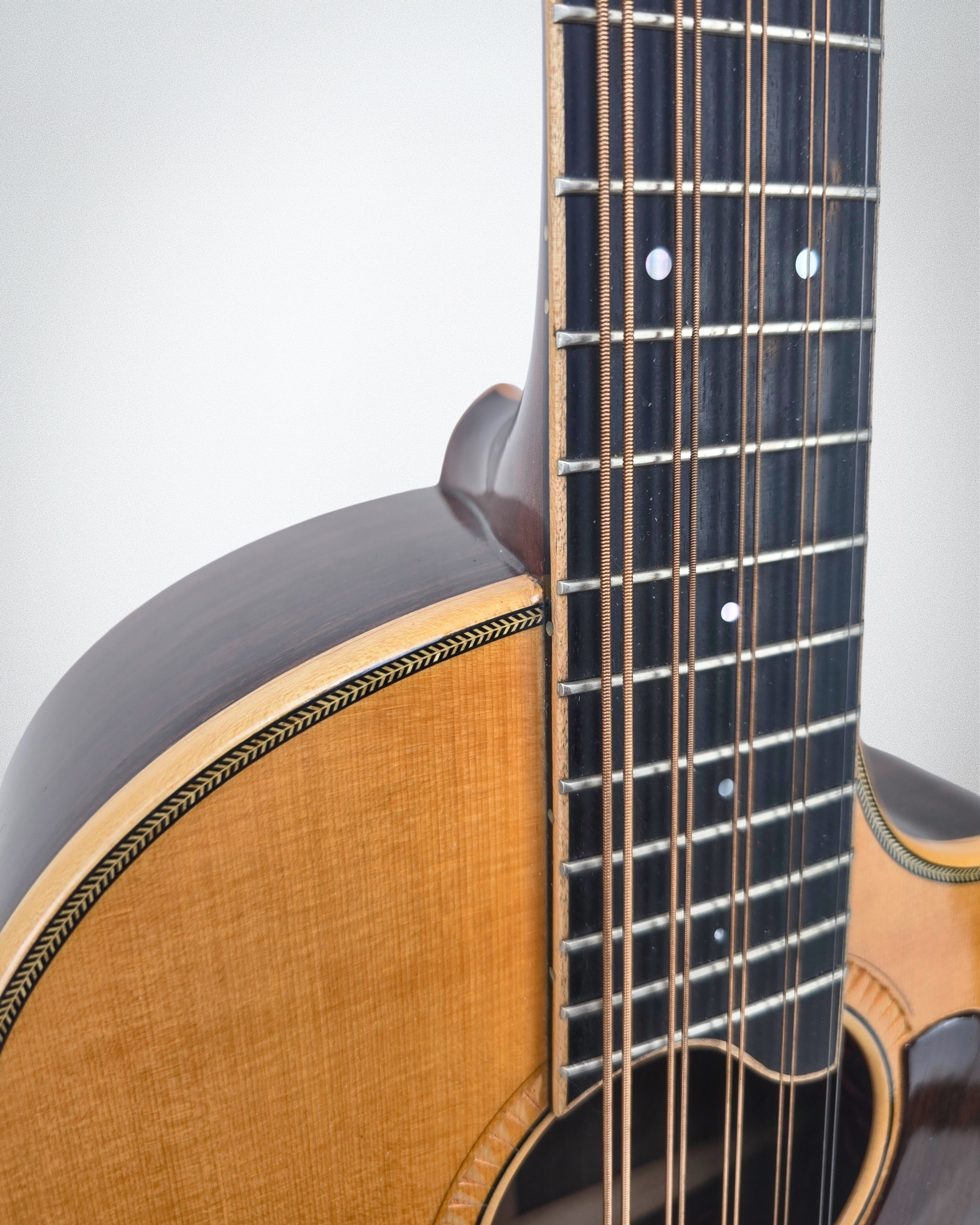 2009 Evergreen Mountain 10-String Mandocello (#2009 187-31)