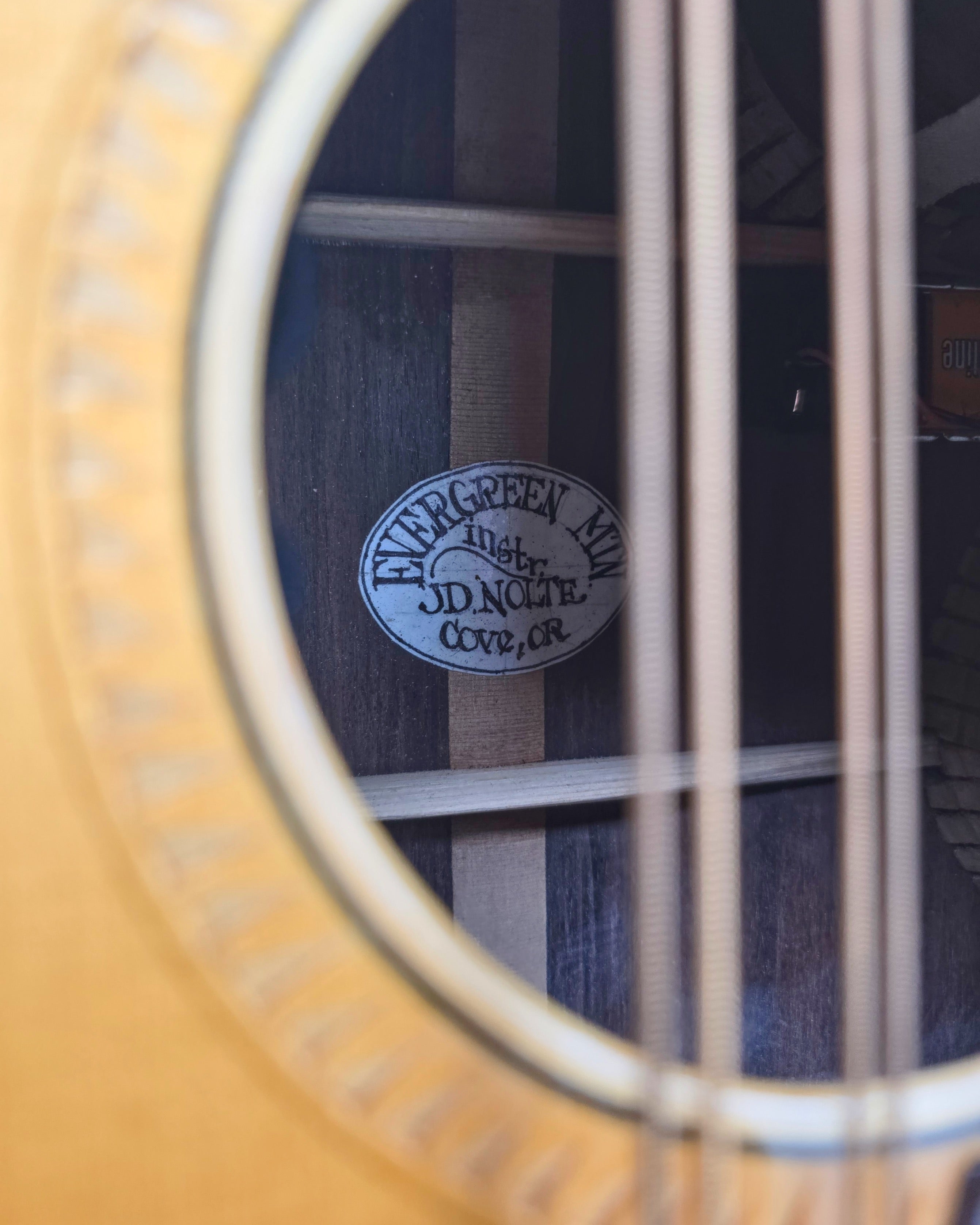2009 Evergreen Mountain 10-String Mandocello (#2009 187-31)