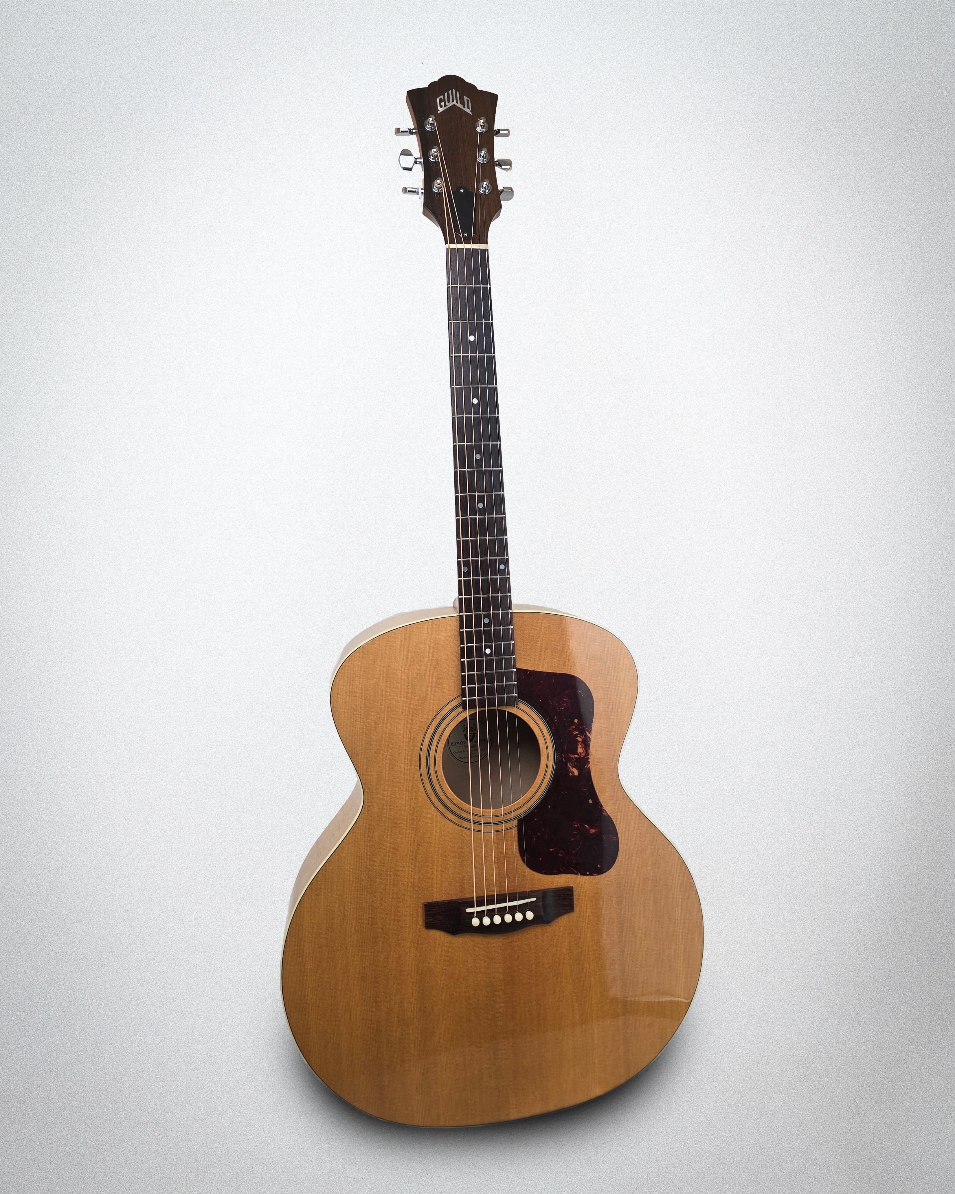 2010 Guild F-50 Standard, Jumbo body style, Sitka Spruce top, Maple sides (#309004)