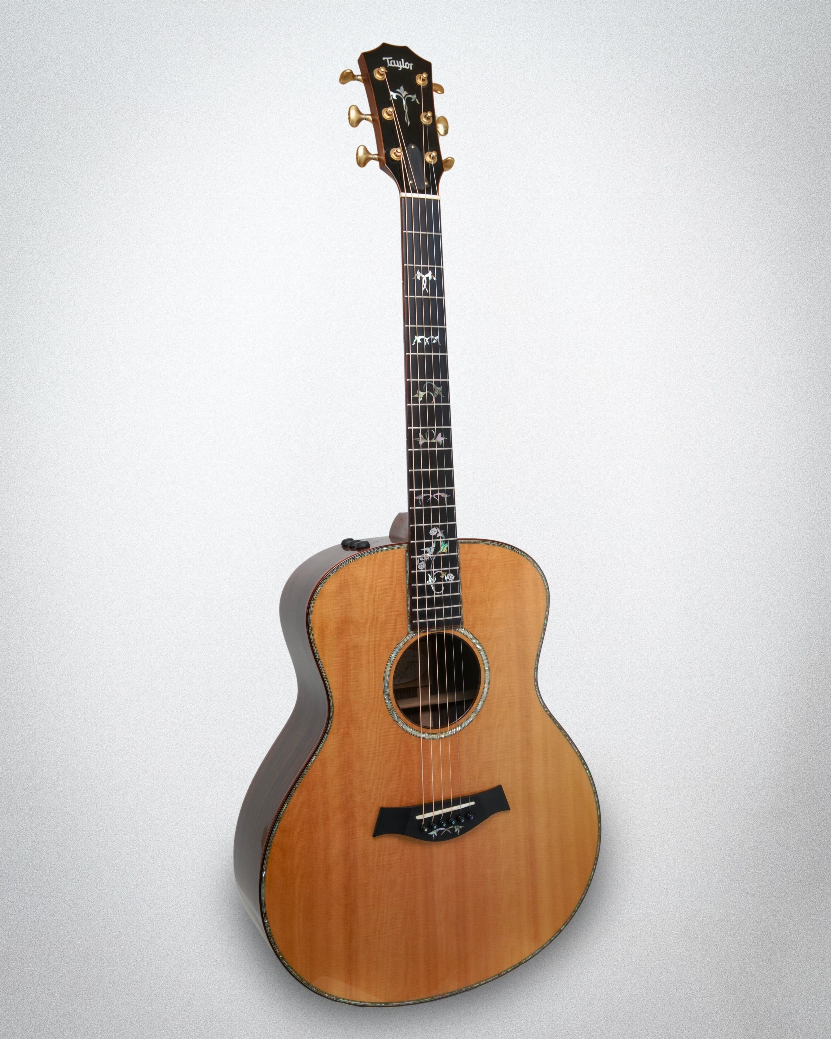 2013 Taylor 916e (#1105173139)