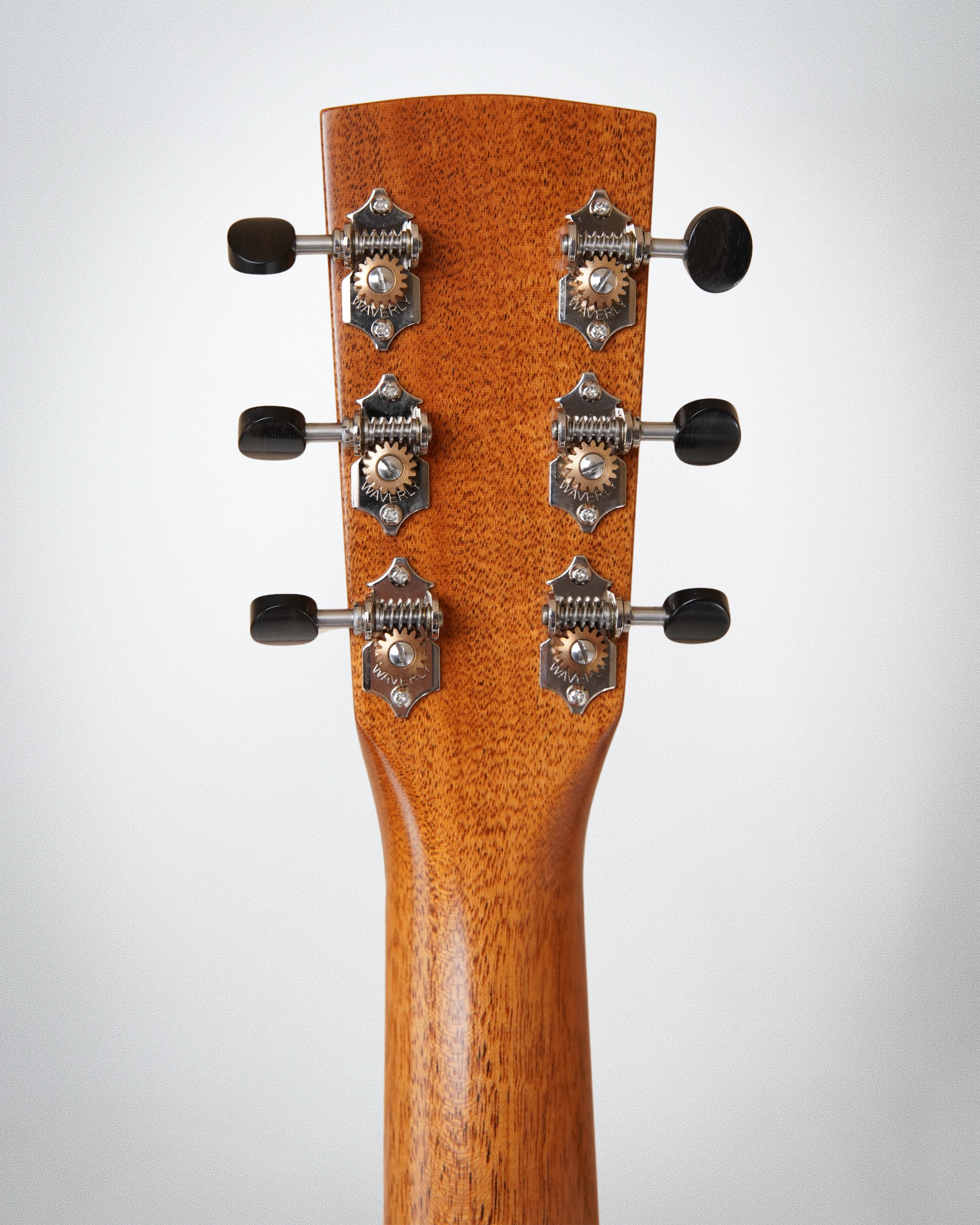 Goodall TMhOM (#7077)